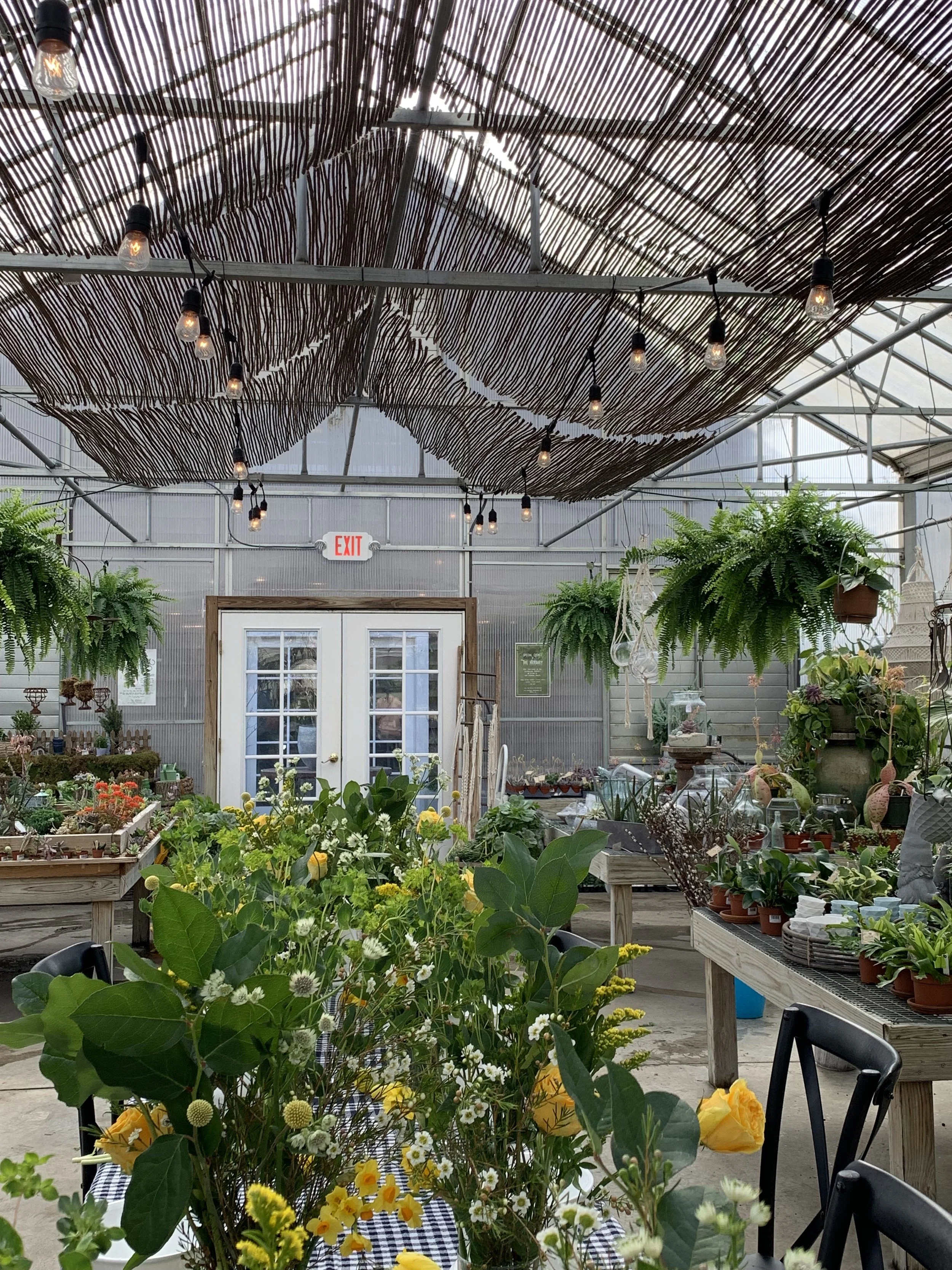 The Greenhouse ready for the workshop.