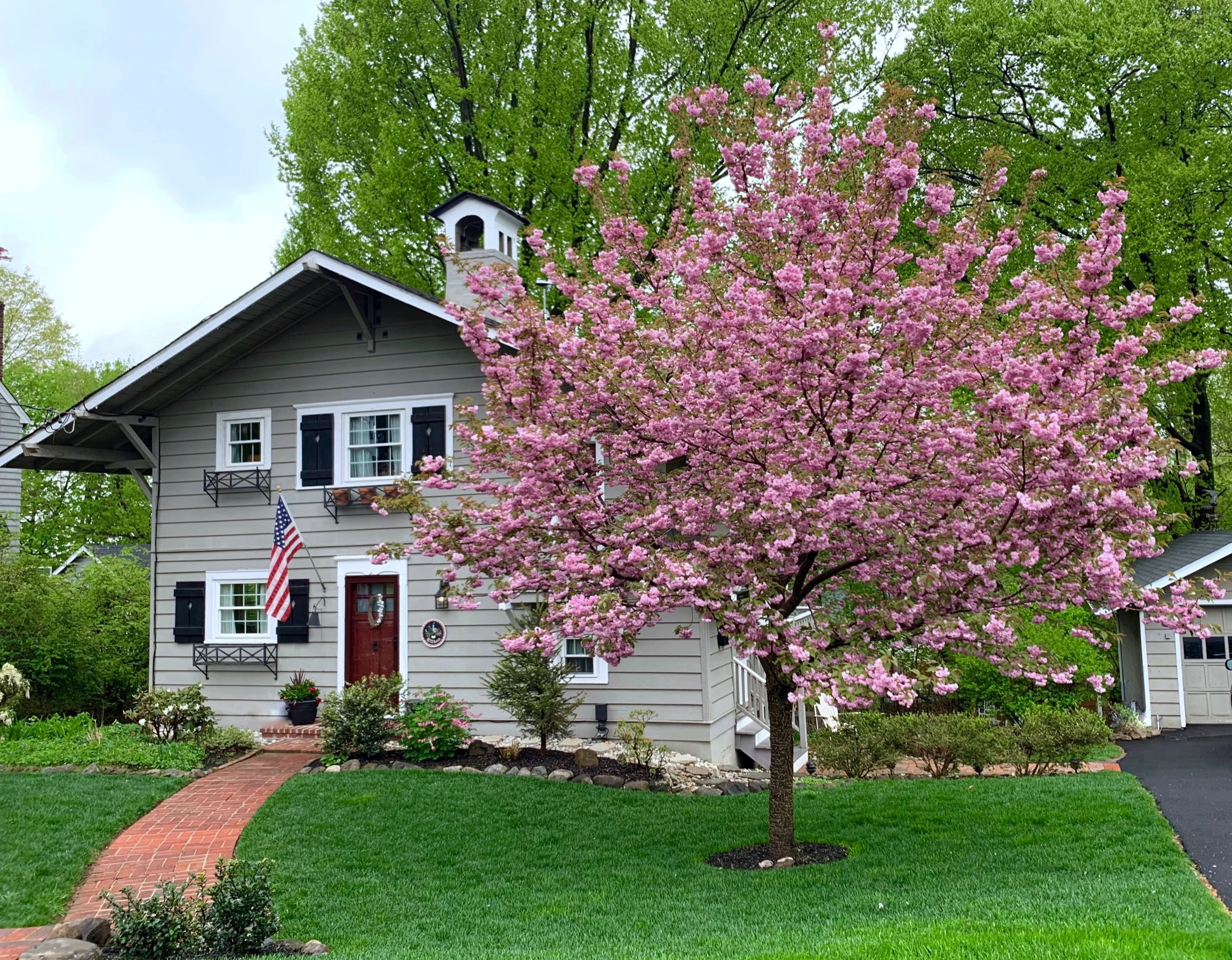 chalet+with+cherry+blossom+.jpg