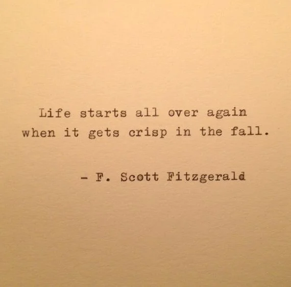 F Scott Fitzgerald quote.jpg