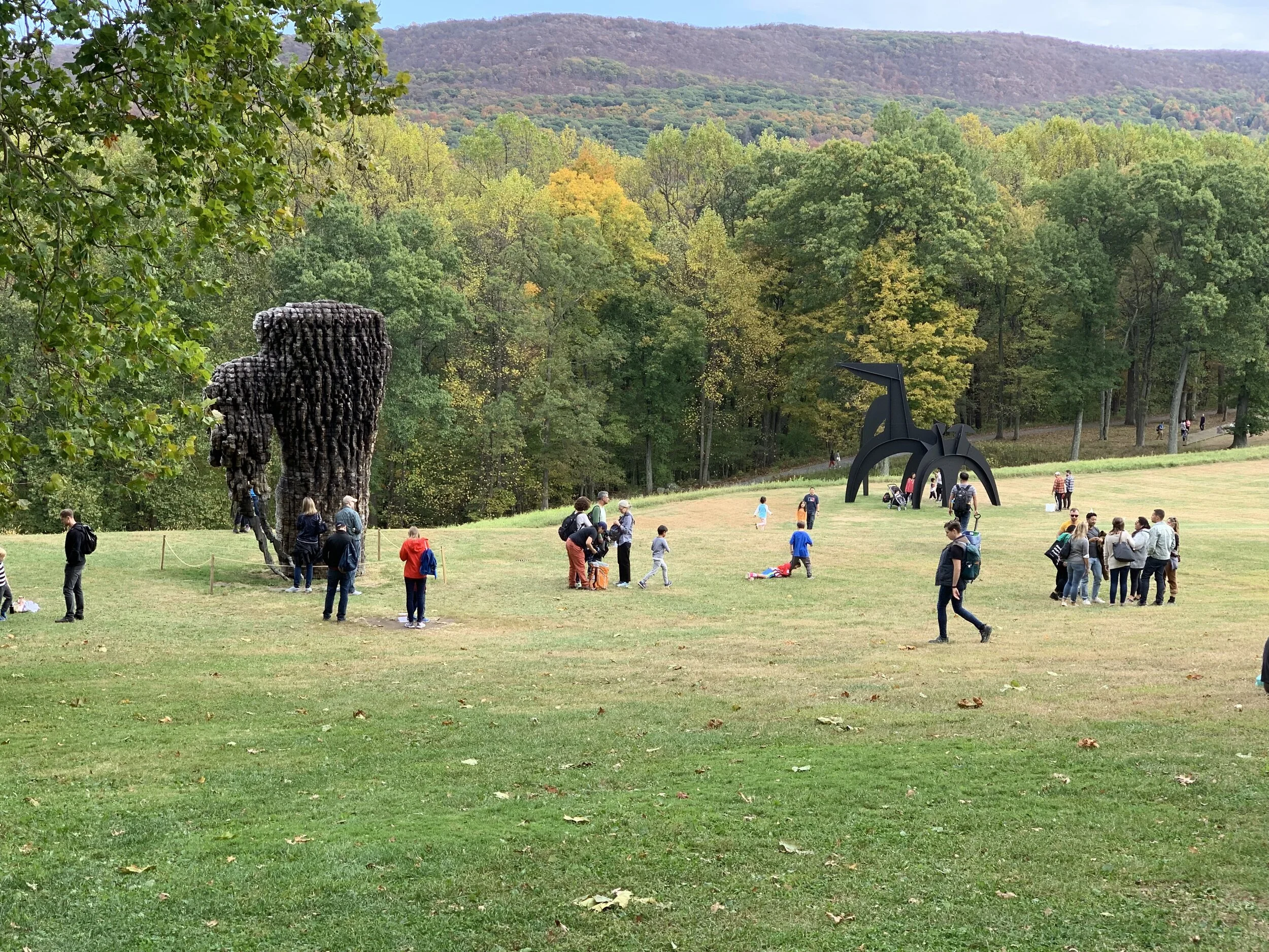 meadow.jpg
