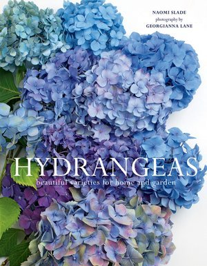 Hydrangeas.jpg