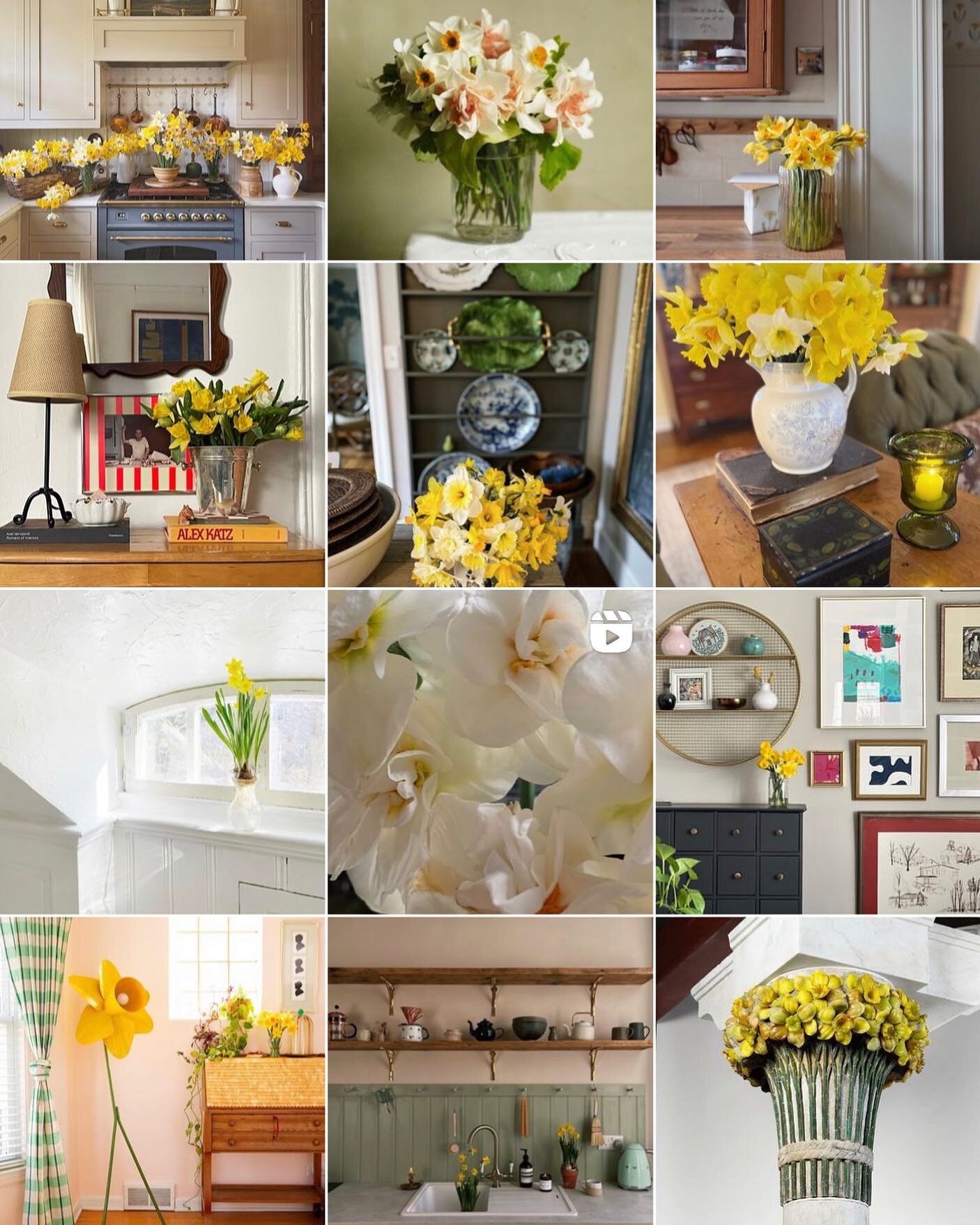 Happy #friendlyfriday friends this week I feel the pull of daffodils! Please follow this to the originators feed - show these creatives lots of L💛VE with a double tap and a follow! 
&bull;
Our week has been filled with taking care of our sweet cat p