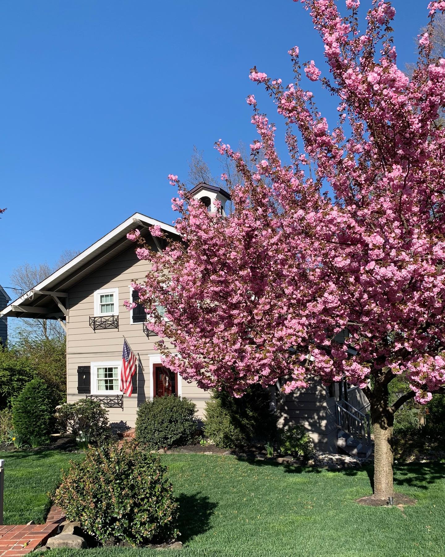 Our Cherry Tree is really putting on quite a show! 🌸 She&rsquo;s such a lovely welcome! 
I&rsquo;ve been thinking about how I welcome others because of my interview with Hospitality Expert Amber Clark @acordialhome 
Amber&rsquo;s motto is Connection