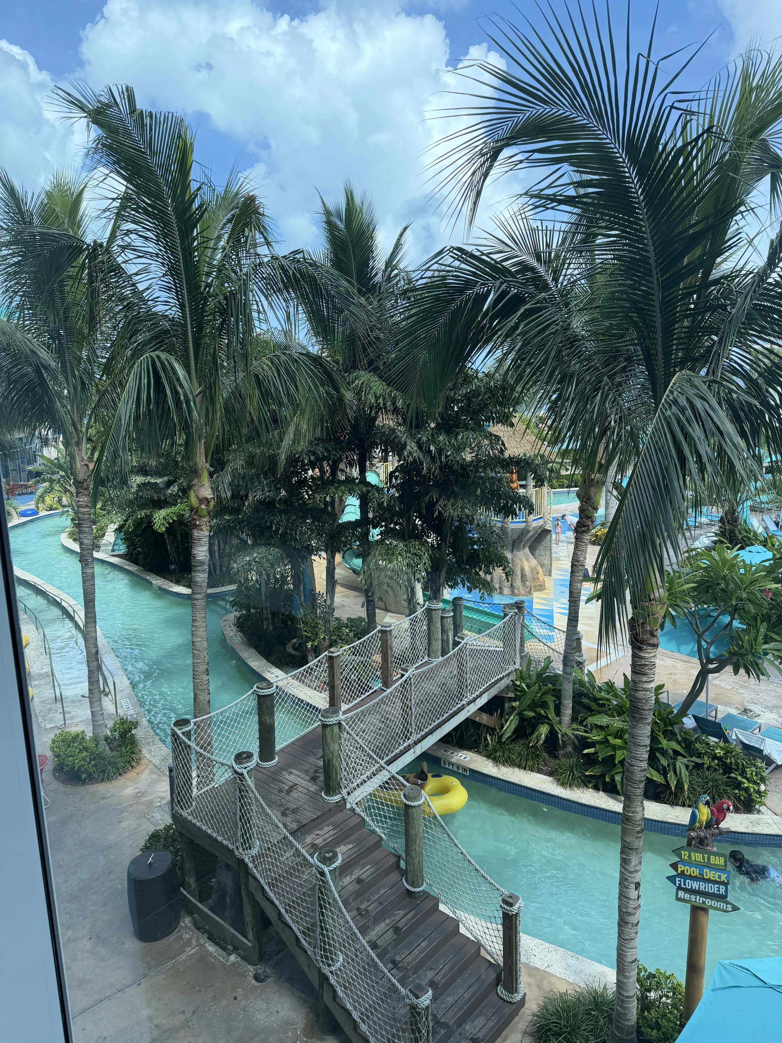 IMG_4886.jpeg