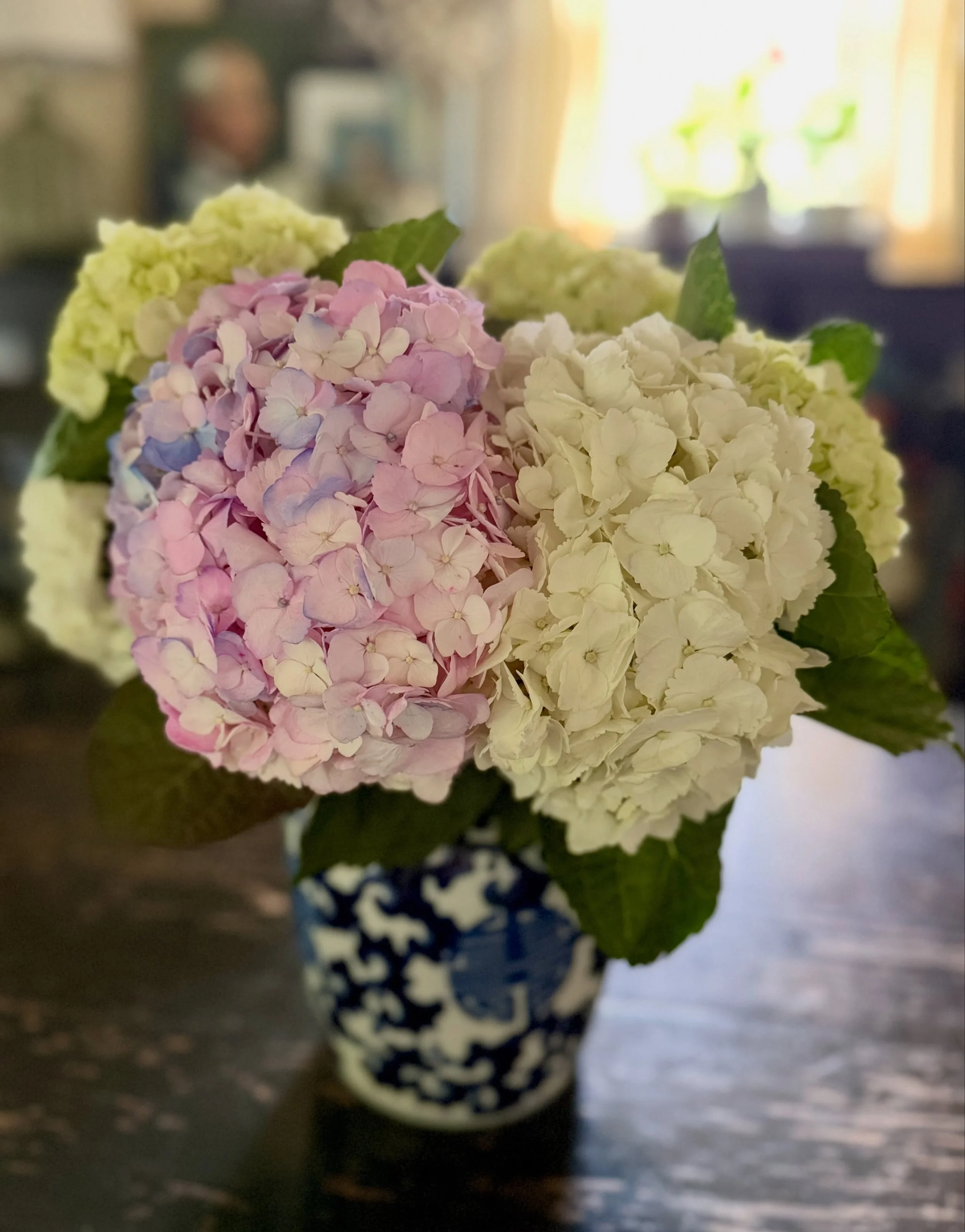 Sometimes instead of walking past the blooms you snap a pic - Happy Tuesday friends xo

#hydrangea #hydrangeas #hydrangealove #chaletstyle #saynotoemptywalls