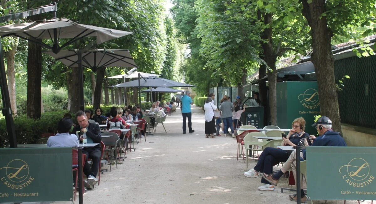 Rodin2-e1750445153668-2579515735.jpg
