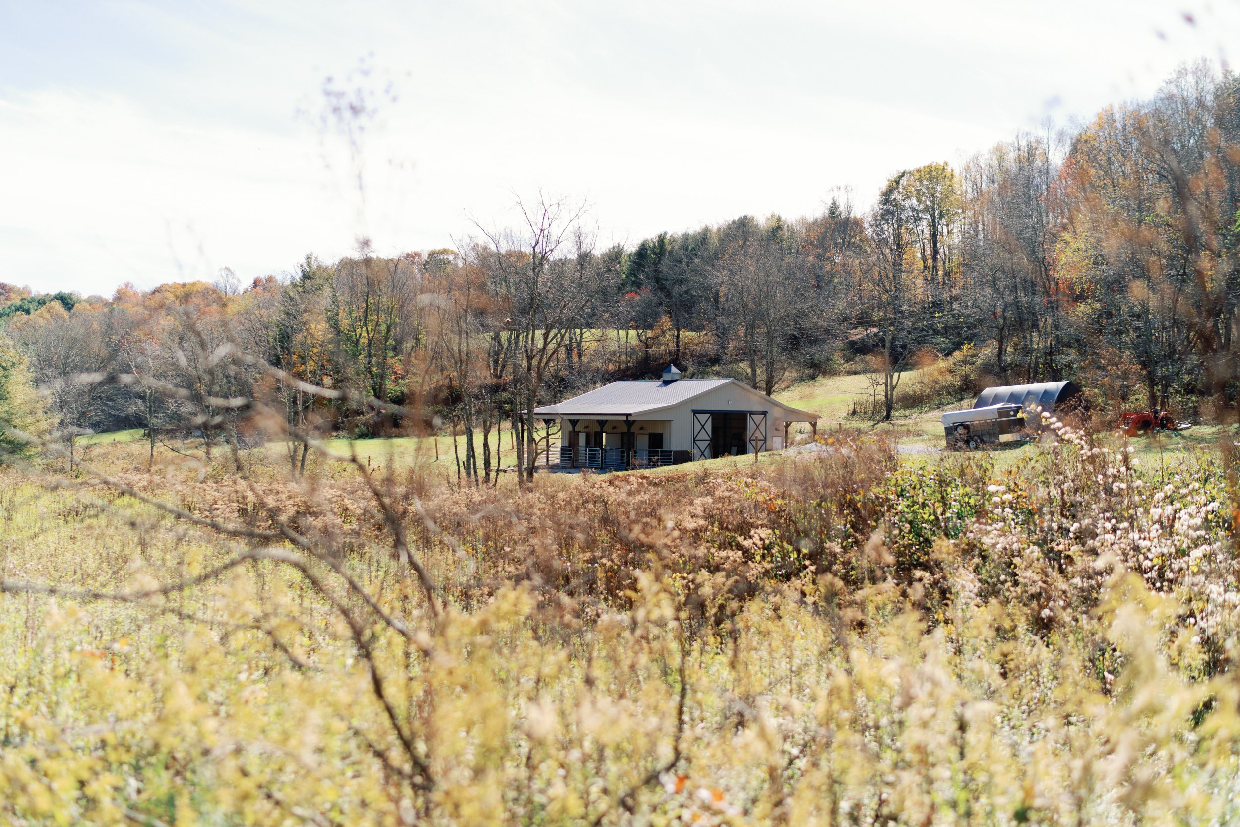 Thunder Moon Farms Grassy Creek 1208.jpg