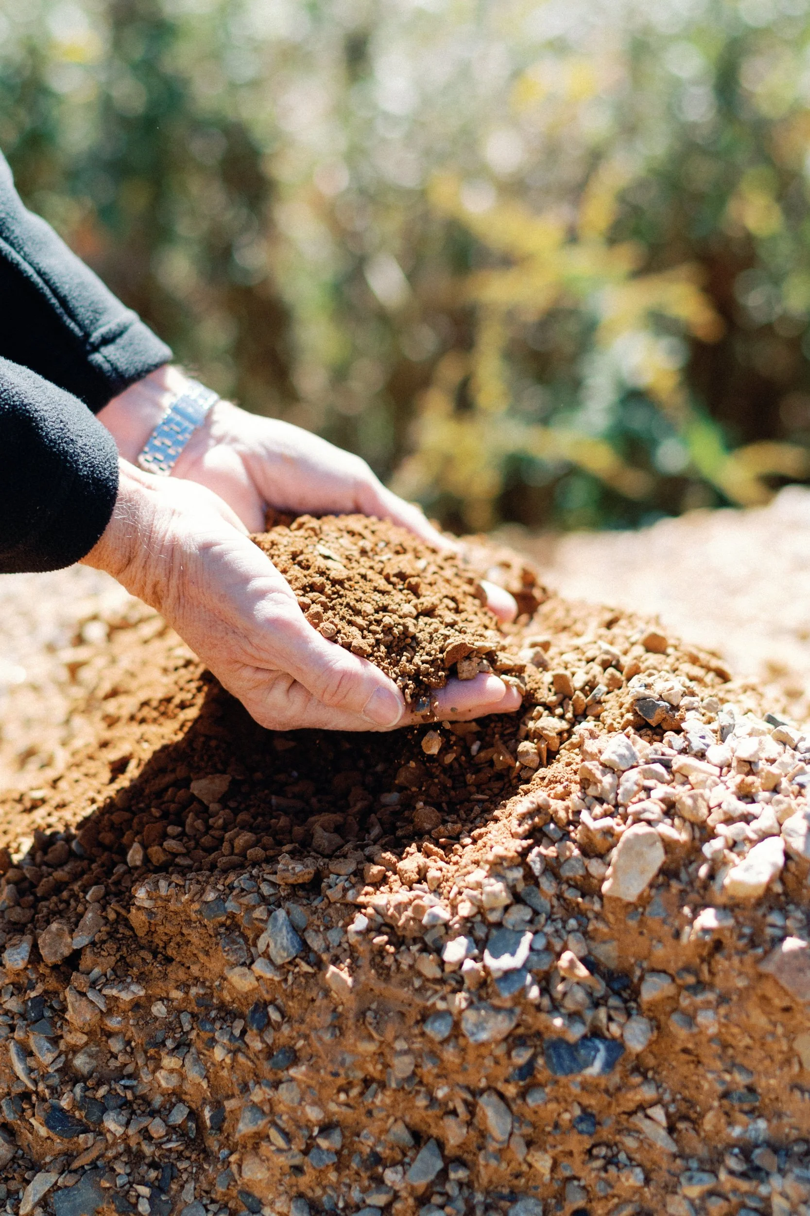 Thunder Moon Farms Grassy Creek 1201.jpg