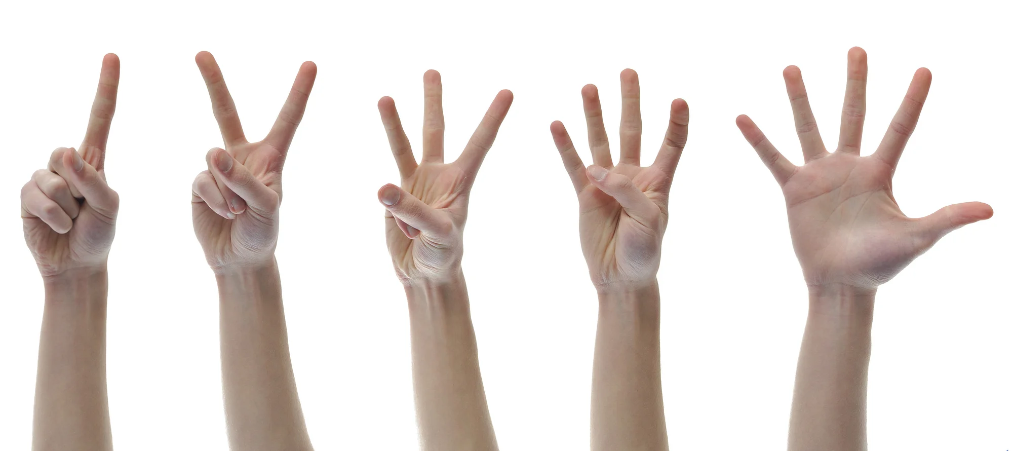 five hands.jpg