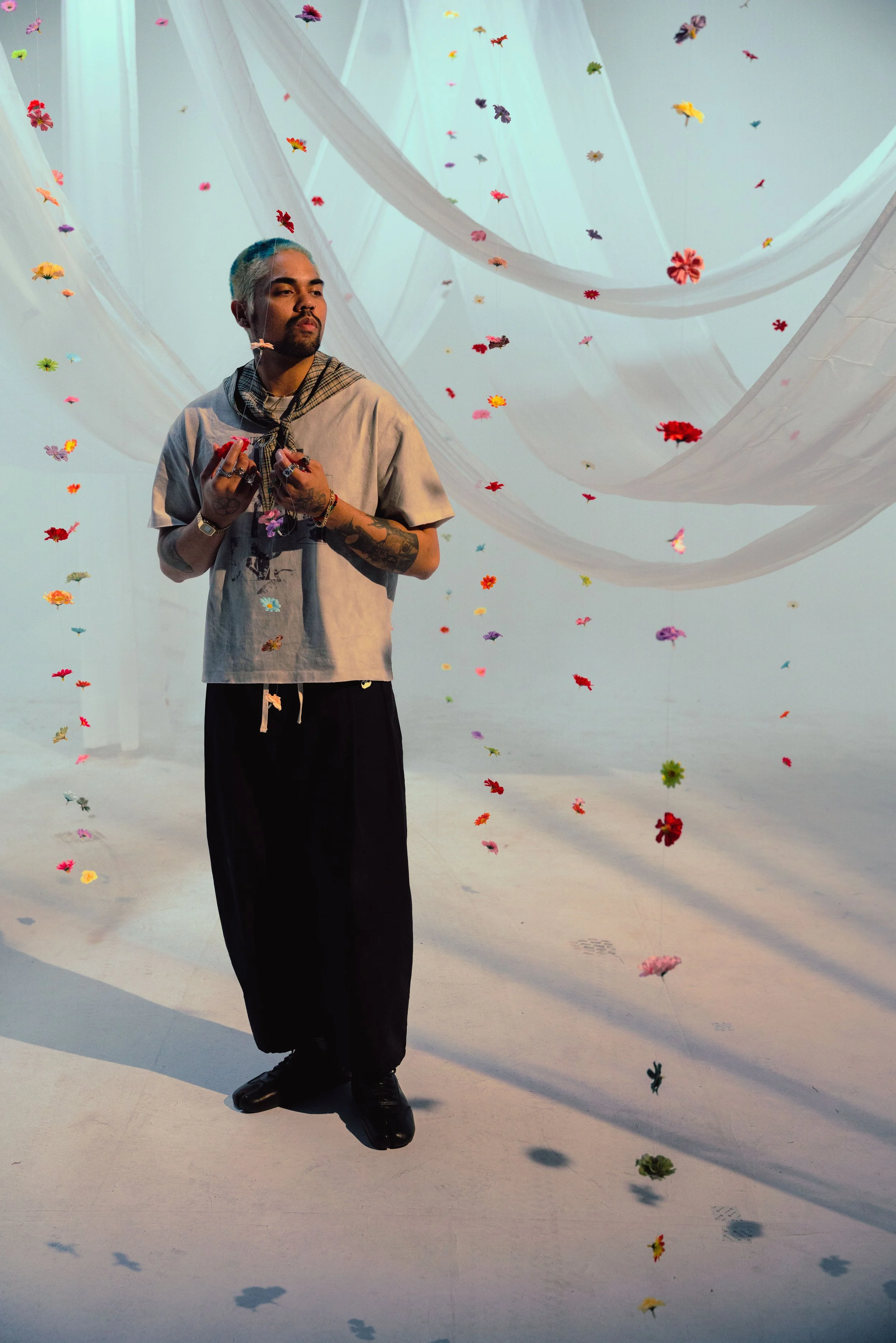 _AR39211.jpg
