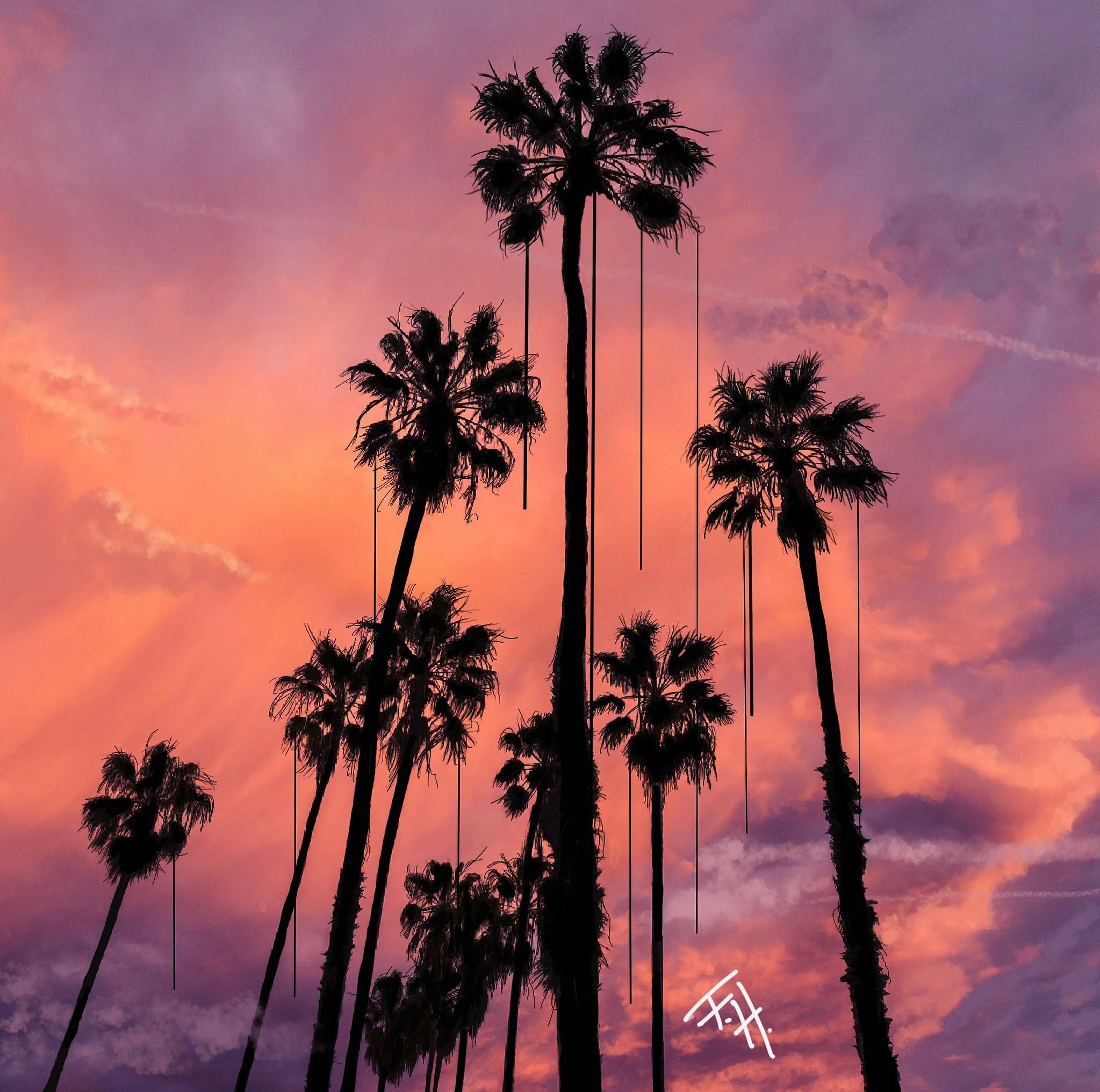 63B6638B-1744-4A2E-A9FA-38458E53A851 2.JPG