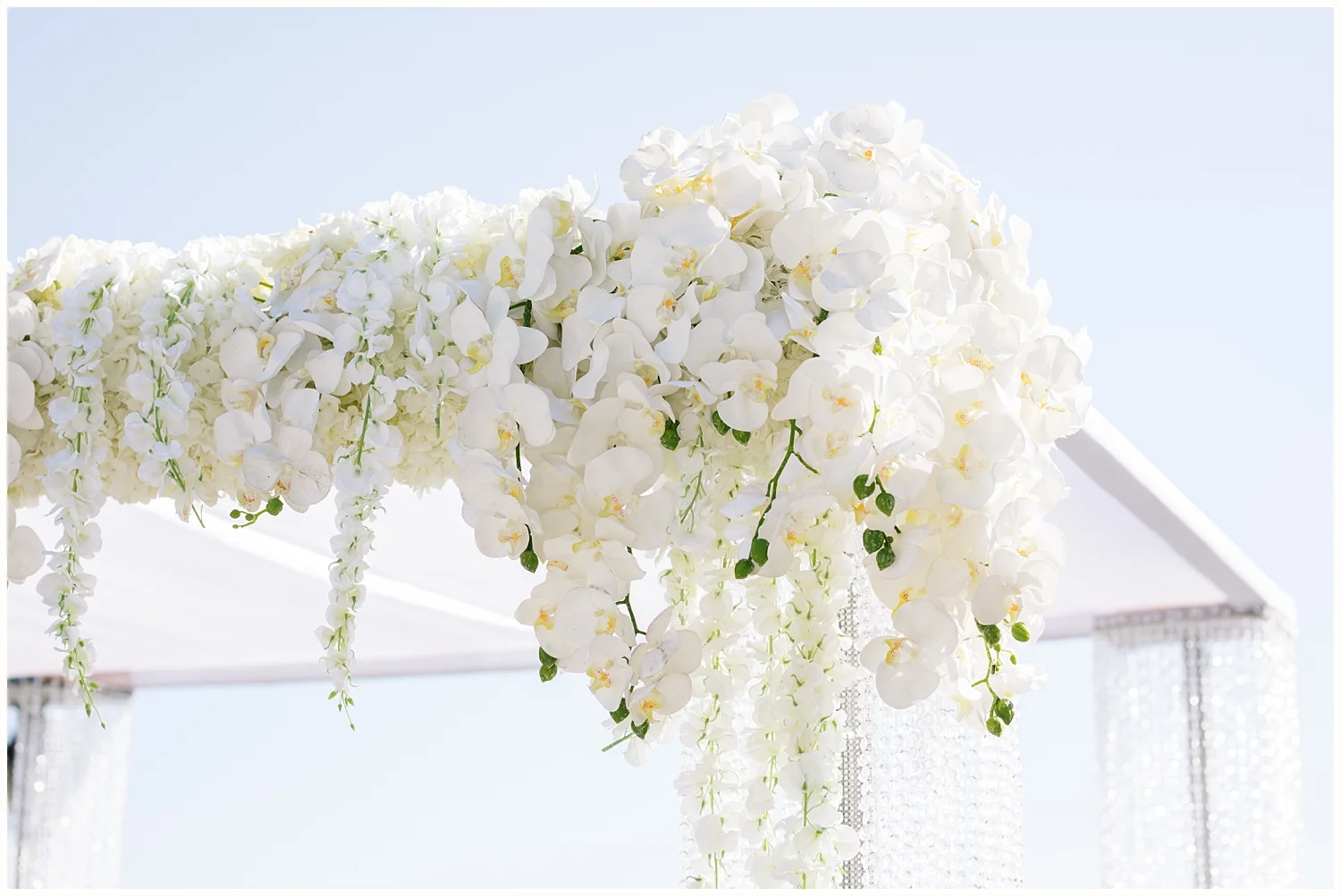 Battery Gardens NYC Wedding Photographer_0036.jpg