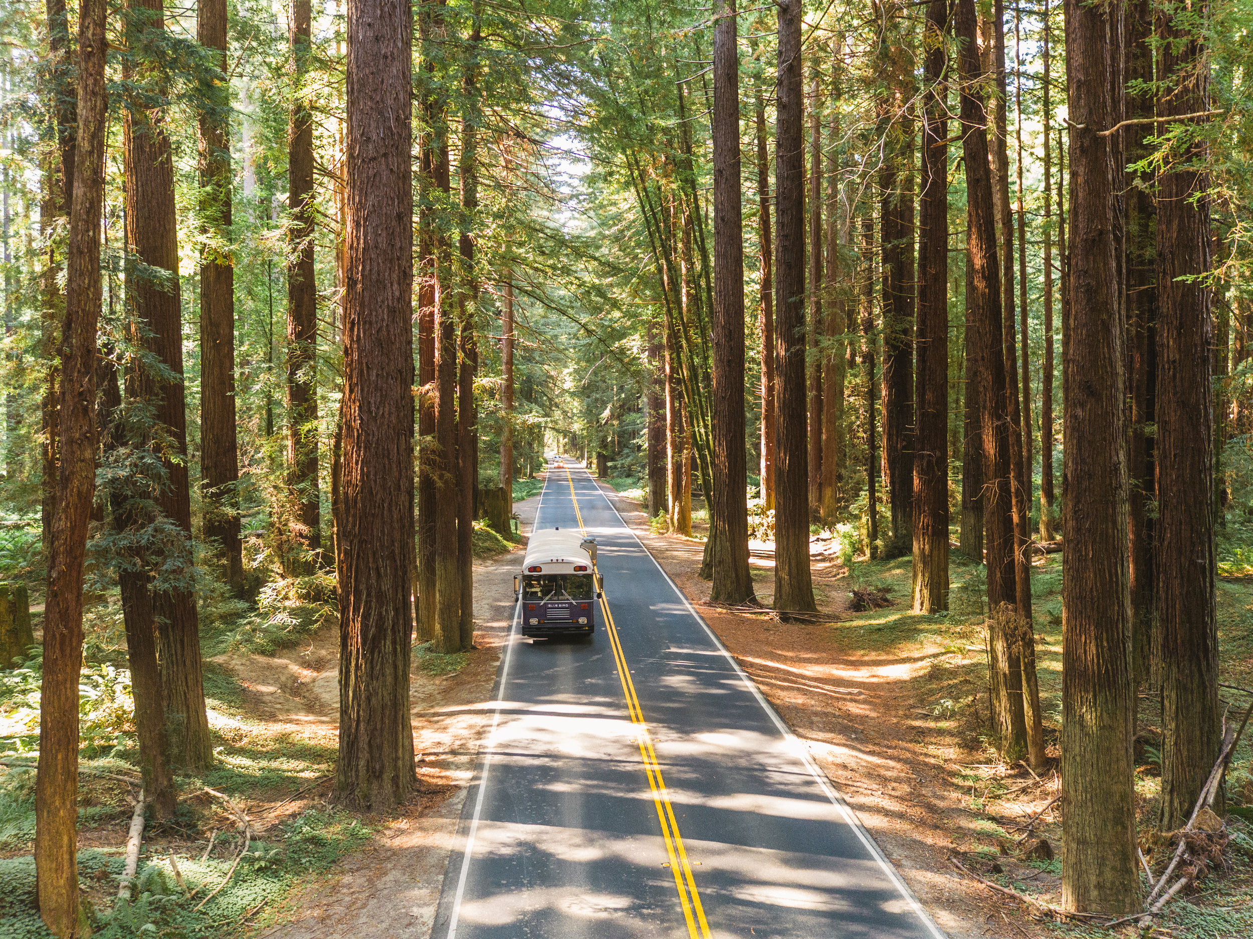 From the ocean through the trees, we finally made it to Camp Navarro in Mendocino, CA.