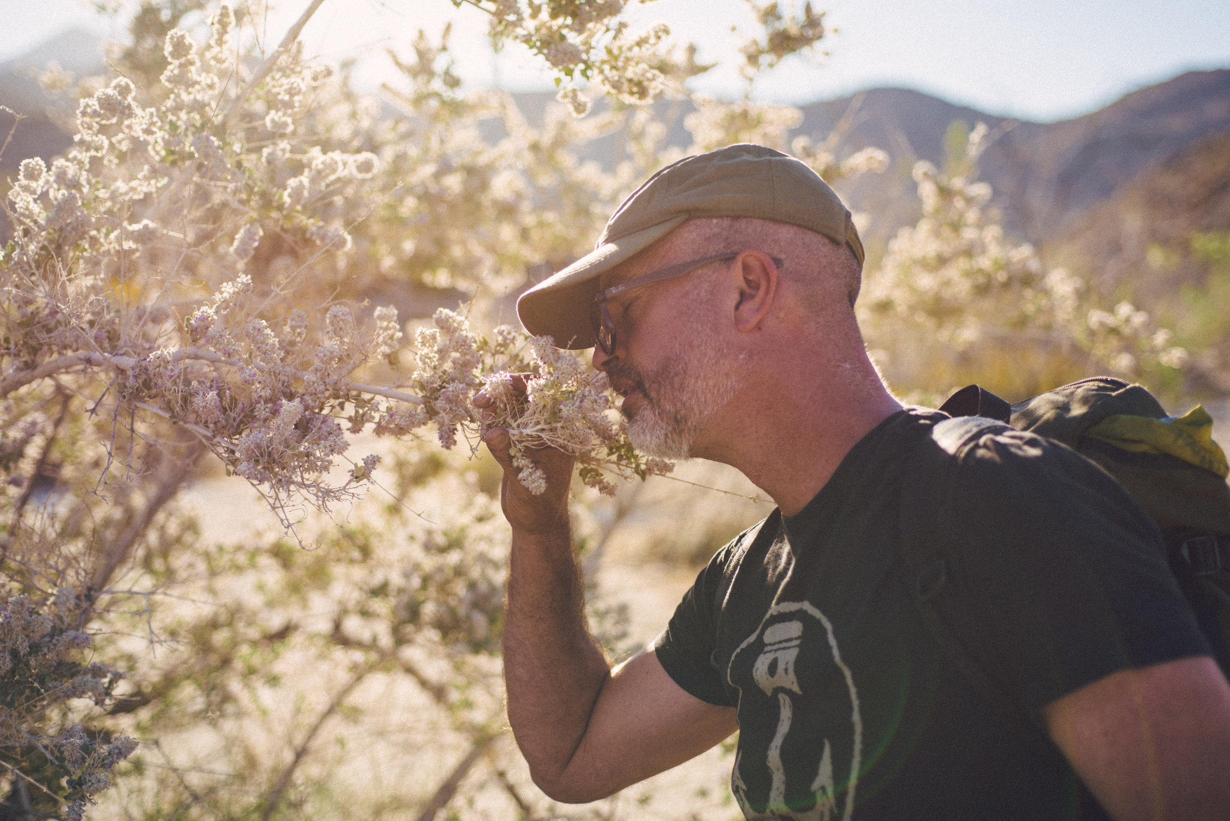 Camping with owner, Hall, is like taking a college course in botany where every class is an extensive field trip with no schedule. 