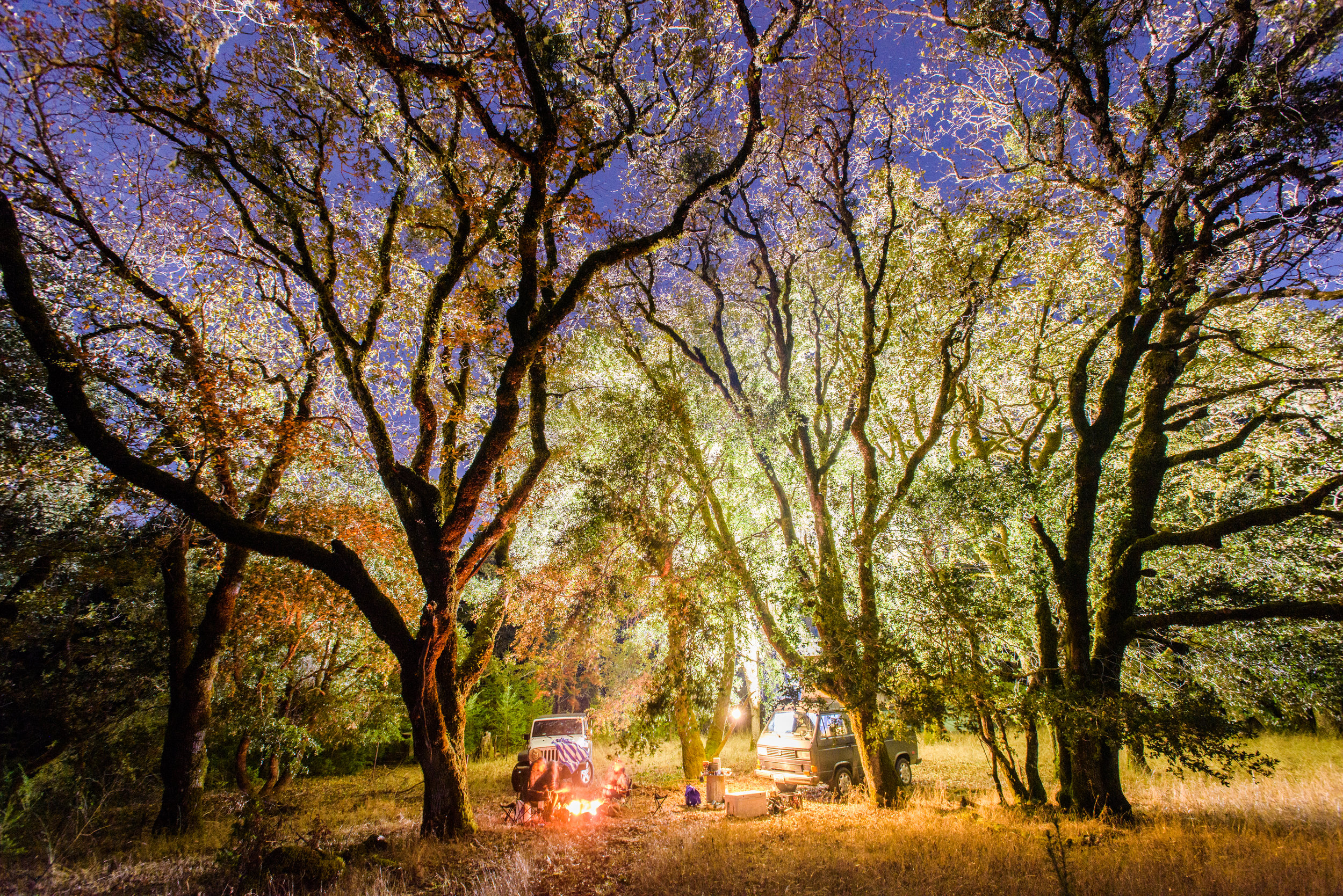 HLFall2016_1019_230534-3187_SAG 2.jpg