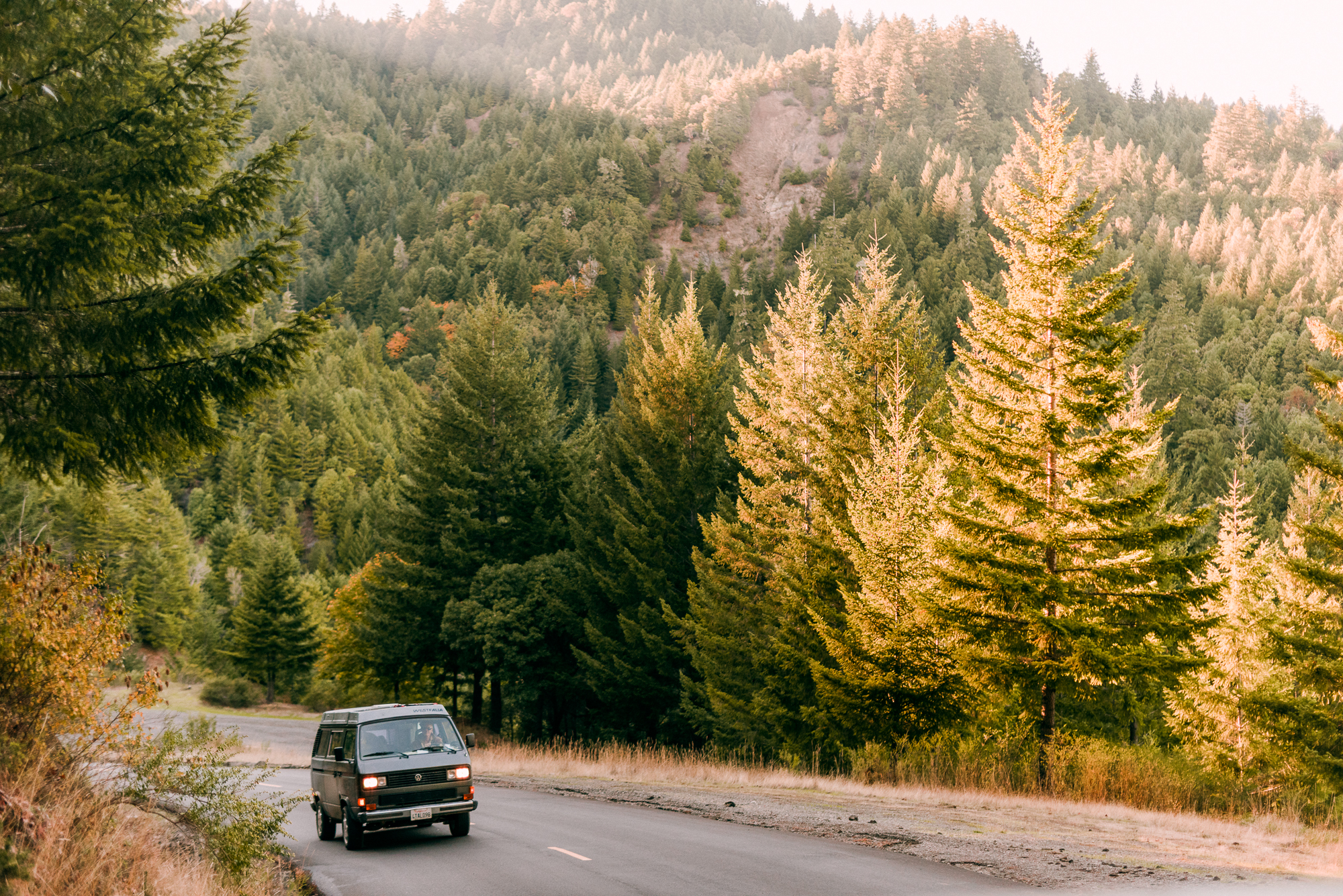 Driving through the twisting and turning back roads of Humboldt you can often smell the sweet, floral aroma of hundreds of cannabis farms during harvest in the fall. The climate of the region is perfectly suited for growing cannabis, just as Napa and Sonoma are positioned to grow the finest grapes for winemaking.
