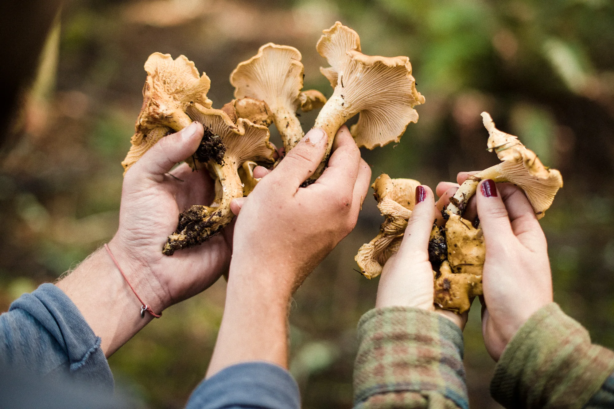 HLFall2016_1018_121719-1761_SAG.jpg