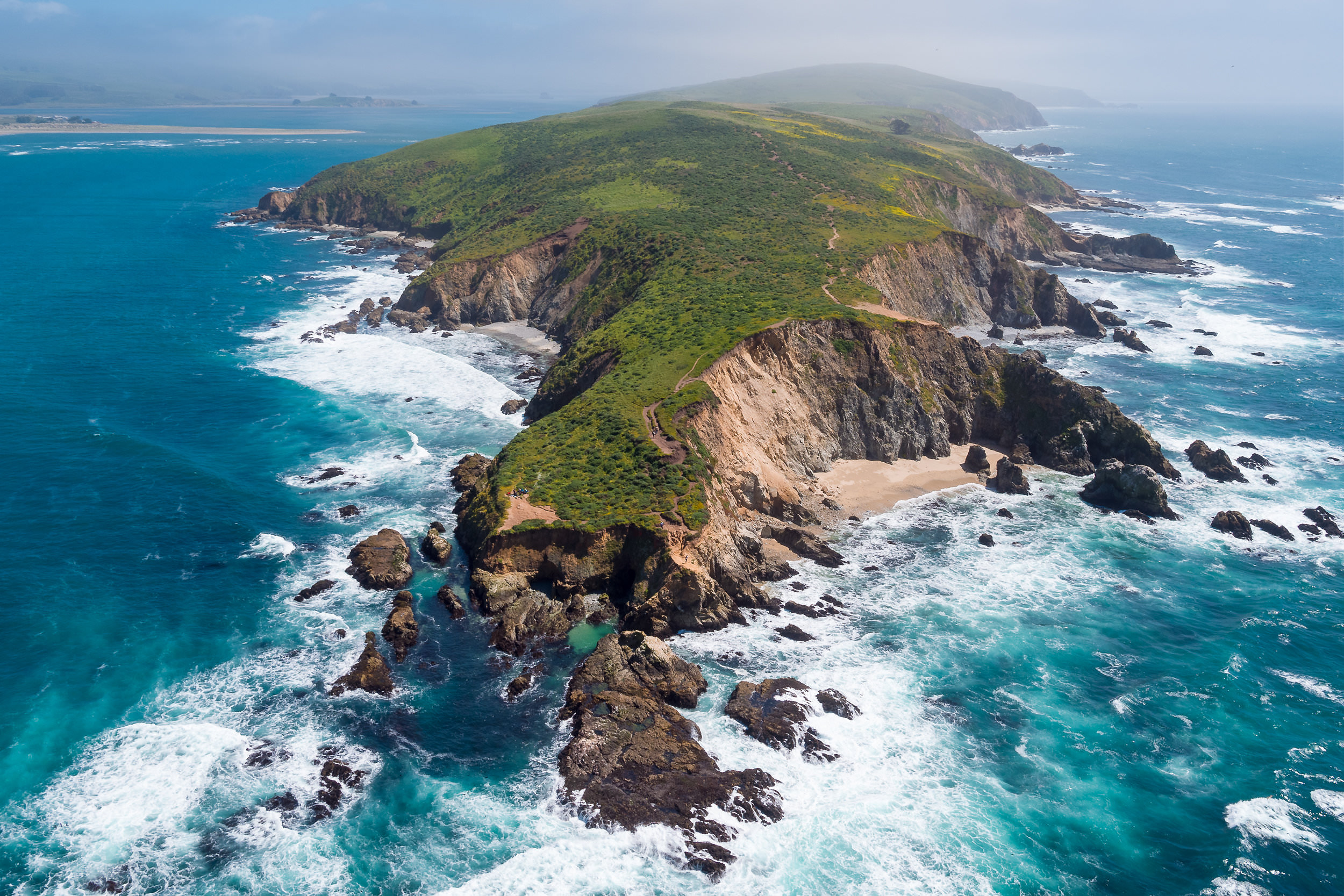 We worked our way out towards Tomales Point on a pristine, cloudless morning, past the Thule elk herd, through the celebration of wildflowers and towards the jagged coastal apex. Our picnic was rewarded with a spectacular vista of Bodega Bay and the impressive landscape of the Pacific Coast.