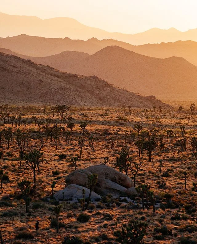 Layers upon glorious layers... 📸: @blaisejoseph_