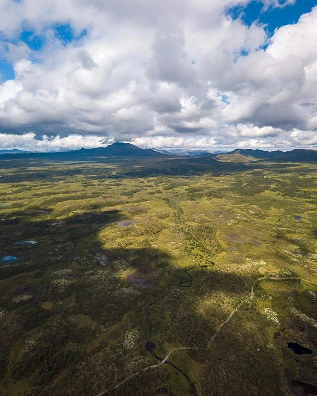 Come fly away with us...to the enchanted lands of Norway... 🇳🇴