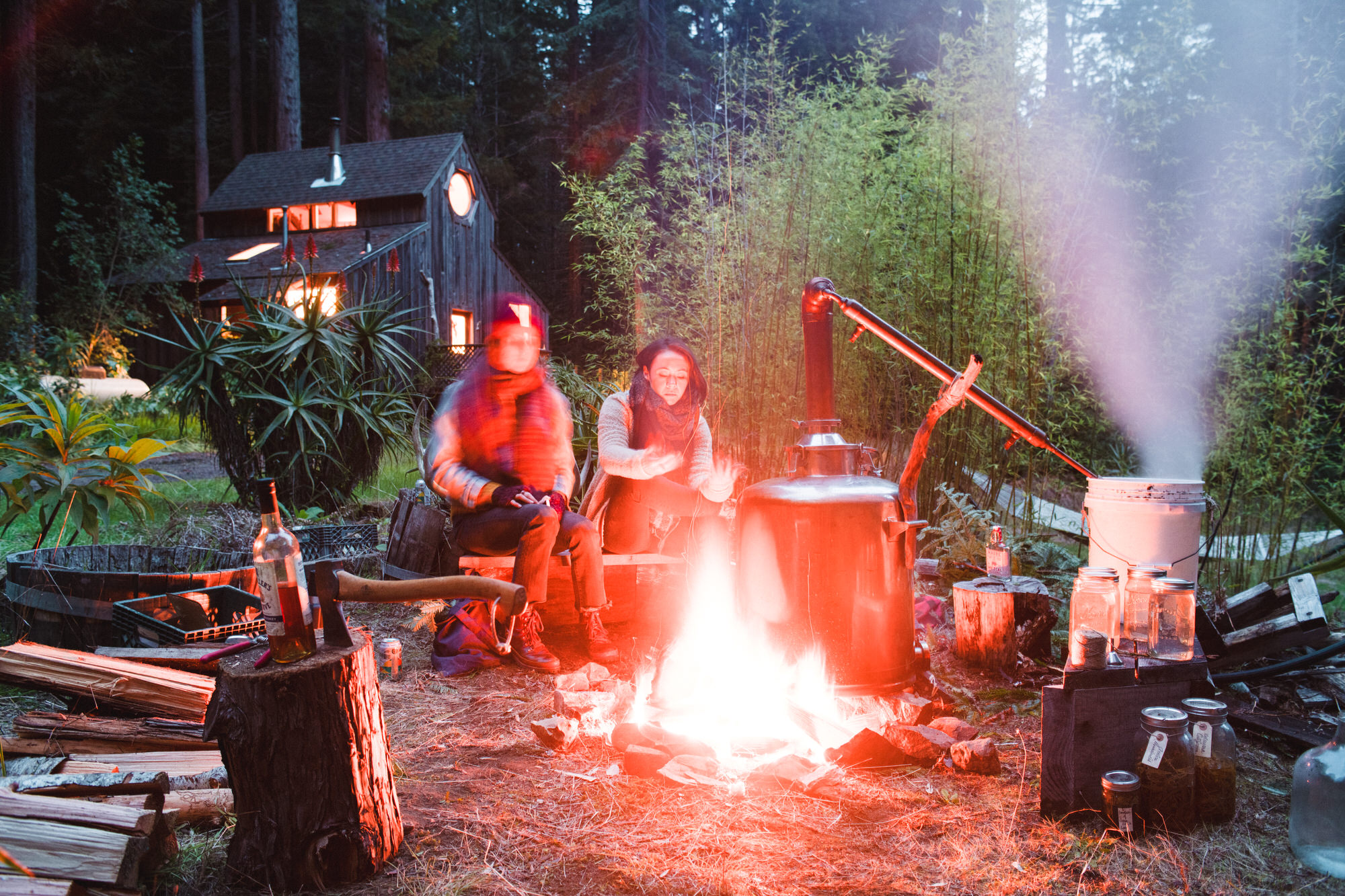 The abundance of water this winter means this harvest will be heavy on the earthy soil-based spiciness, lighter on the evergreen, and infused with the smoke from our cabin fires and salt from the stormy sea.