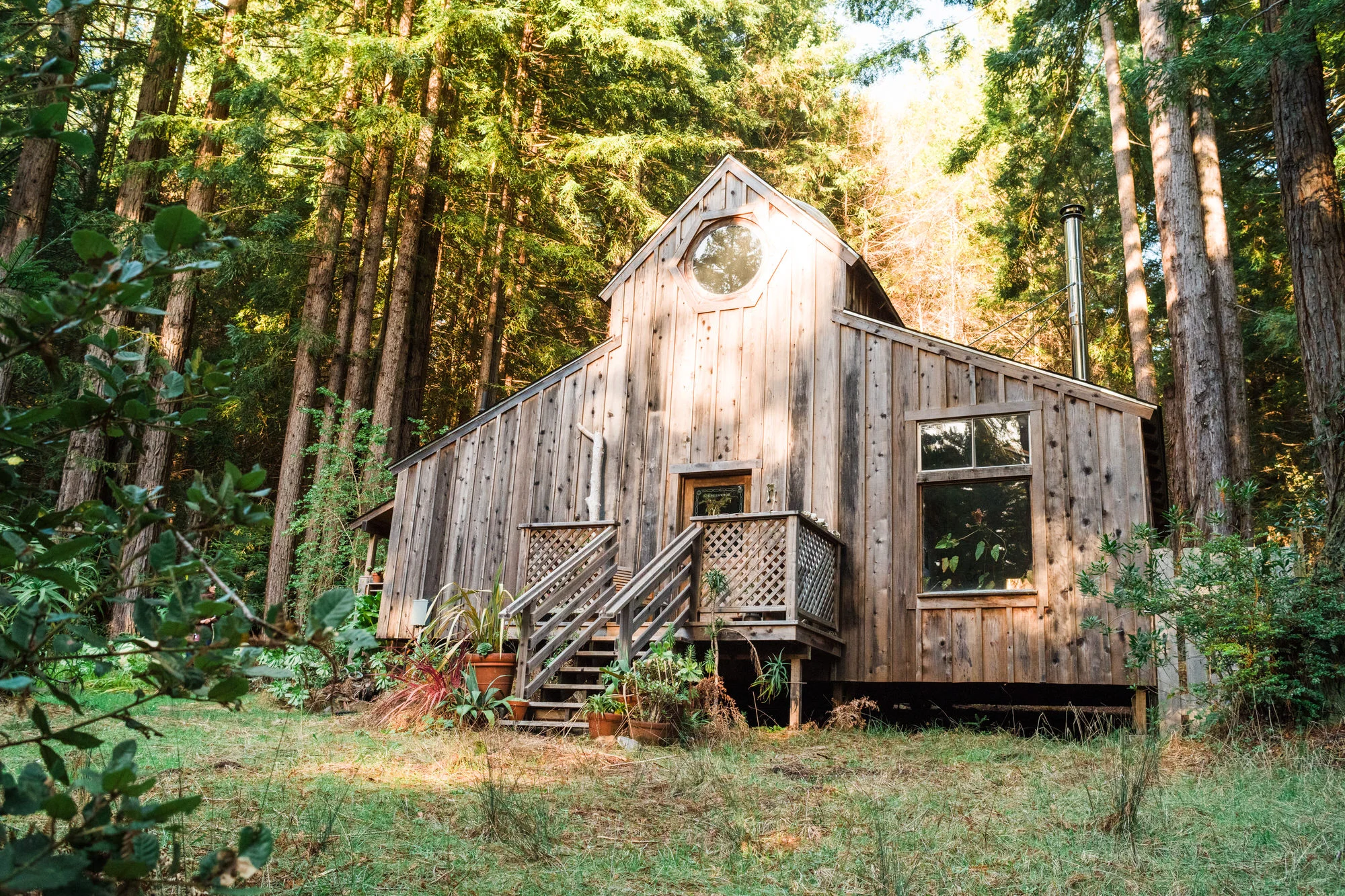 JRFL_WinterRedwood2019_0222_164207-6932_SAG.jpg