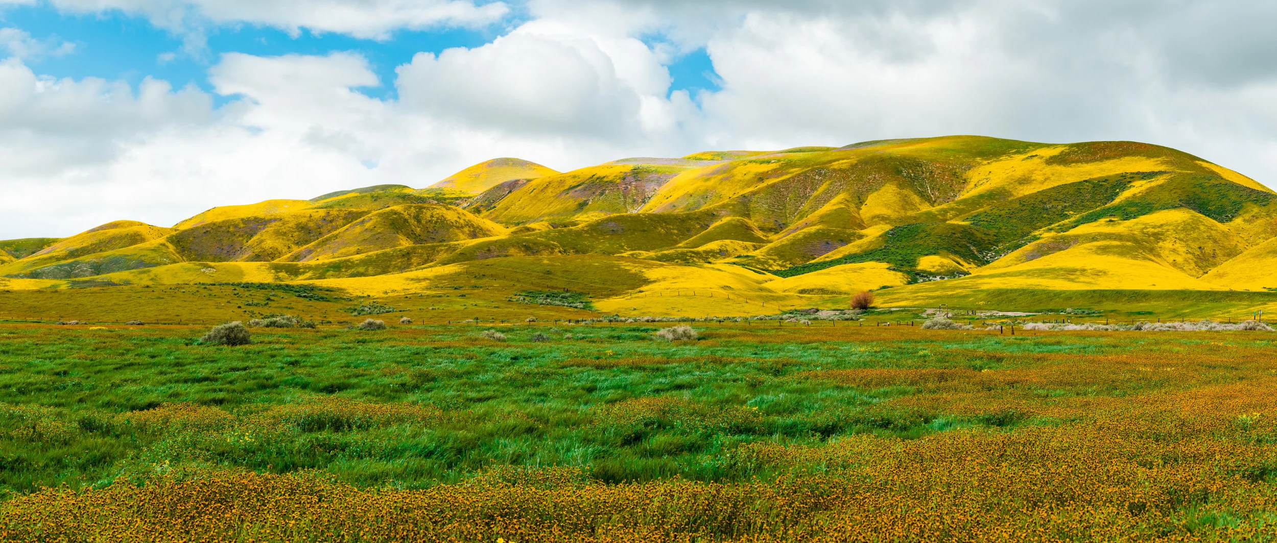Nipomo_Spring2019_0327_161139-8152_SAG-Pano.jpg