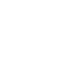 Chinatown Location — Wiseguy Pizza