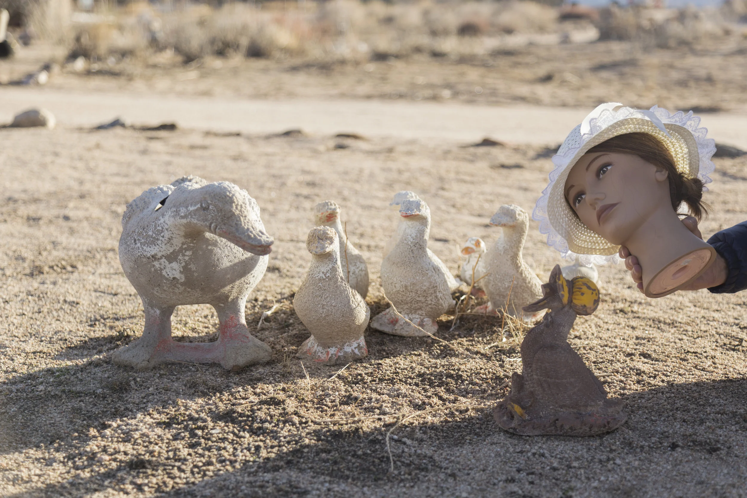 veronica and ducks.jpg