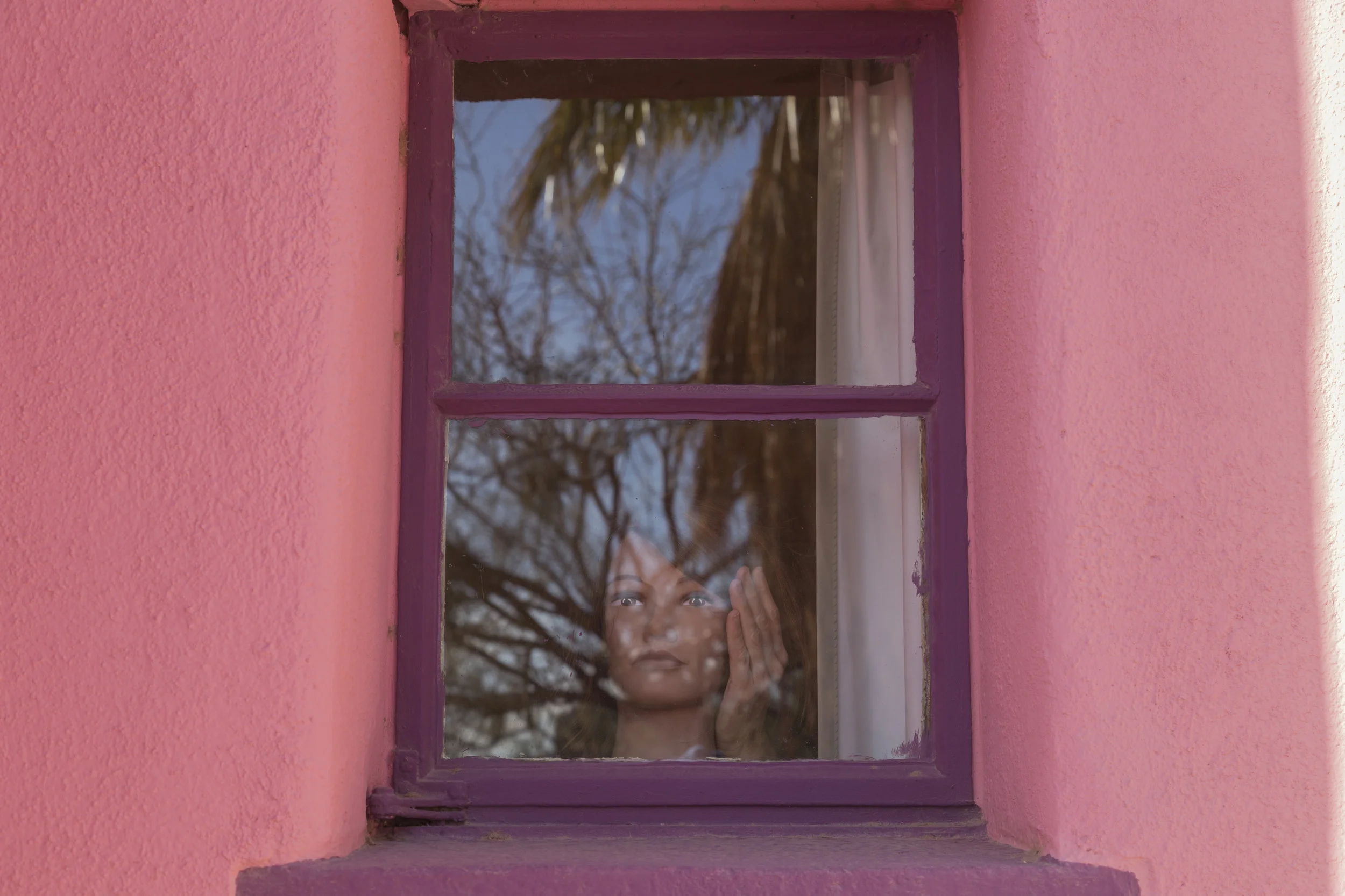 veronica in pink window.jpg