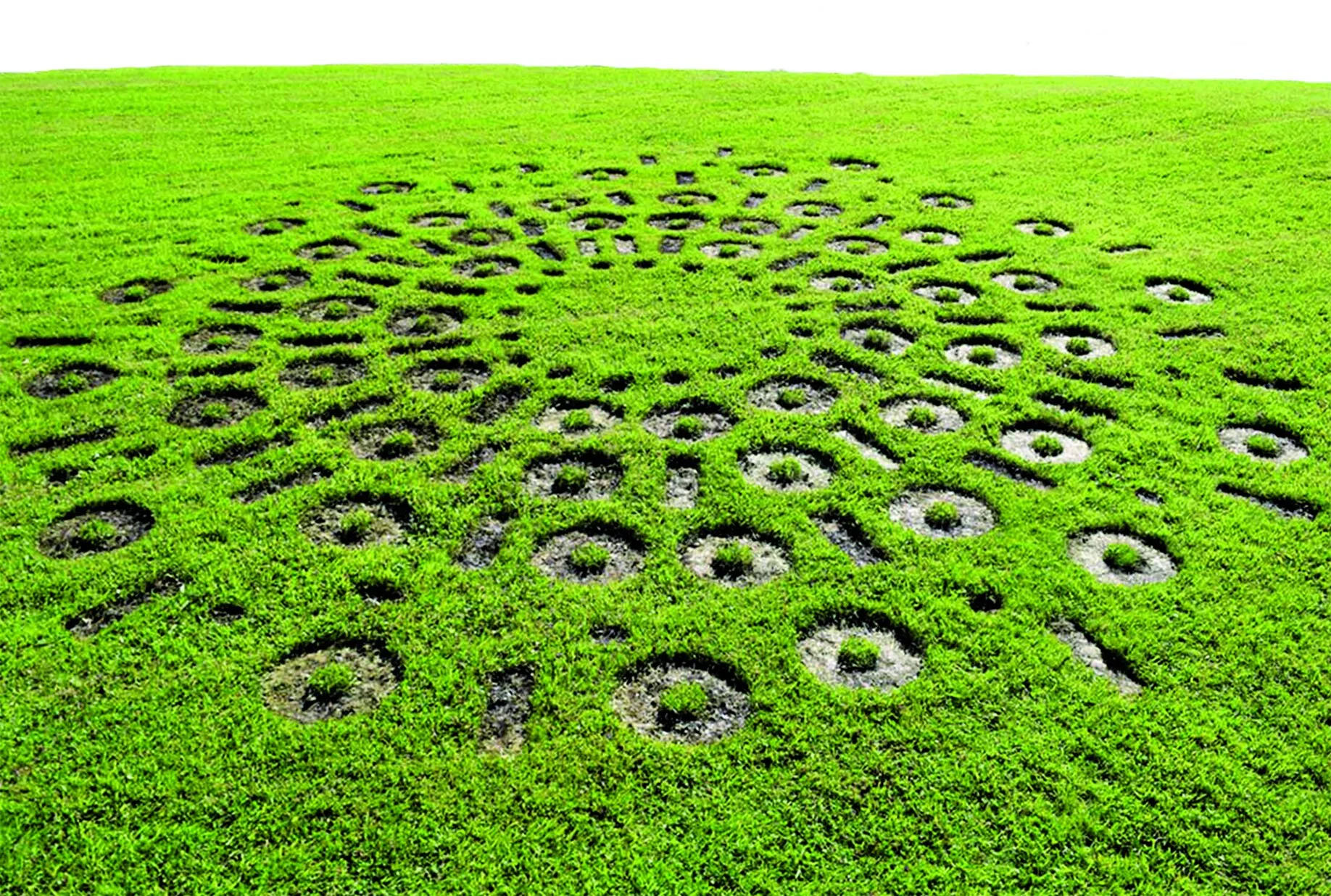 Binary Opens November 5th - December 18th