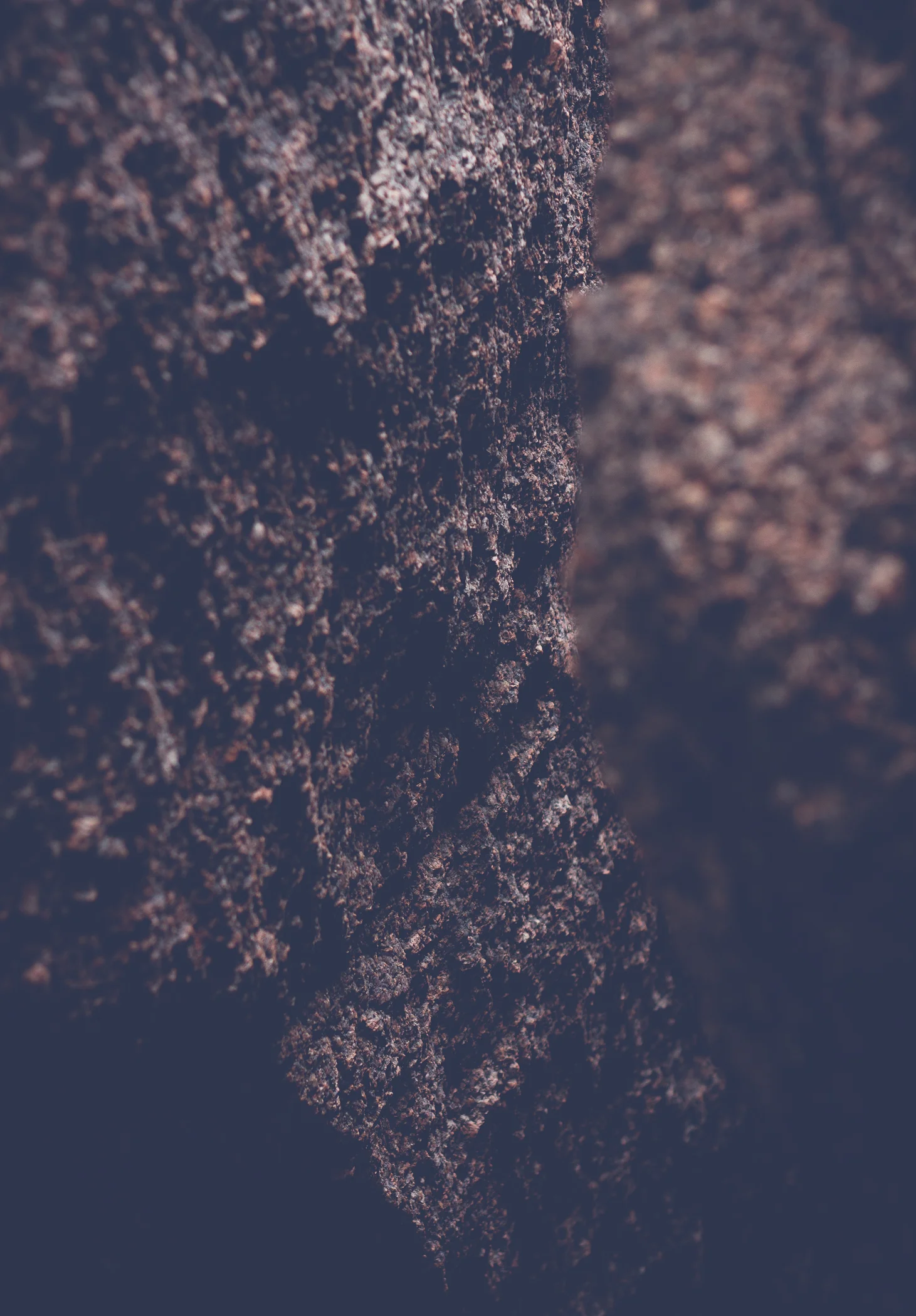 untitled (18 of 38).jpg