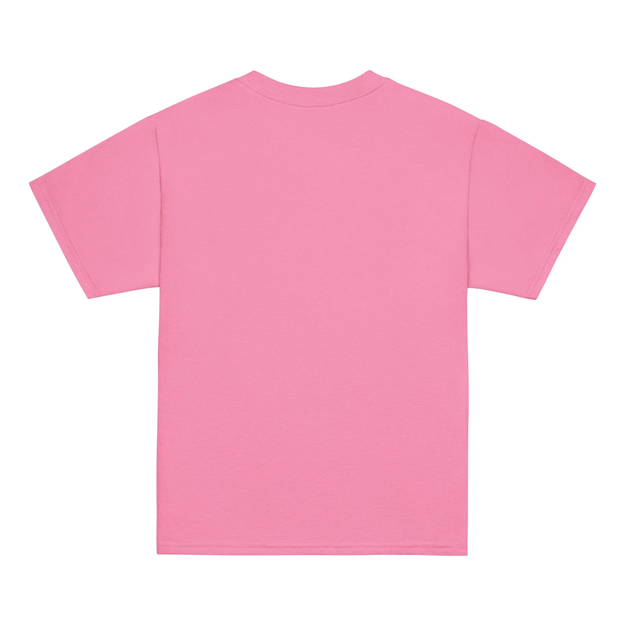 youth-classic-tee-azalea-back-68c0479a6d2bc.jpg
