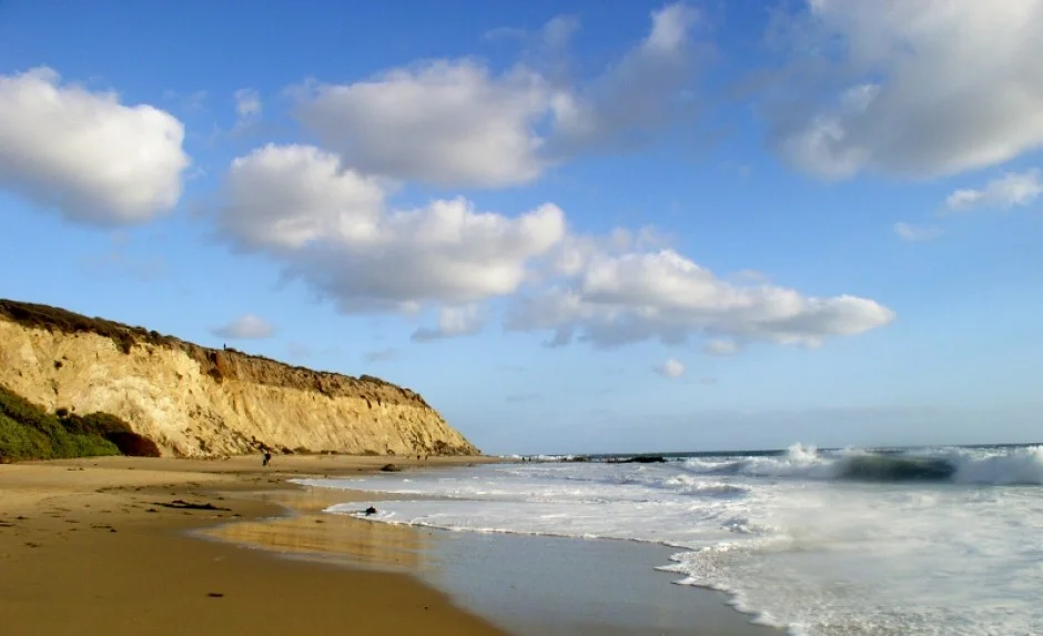 cropped-P1010610-800x599-31.jpg