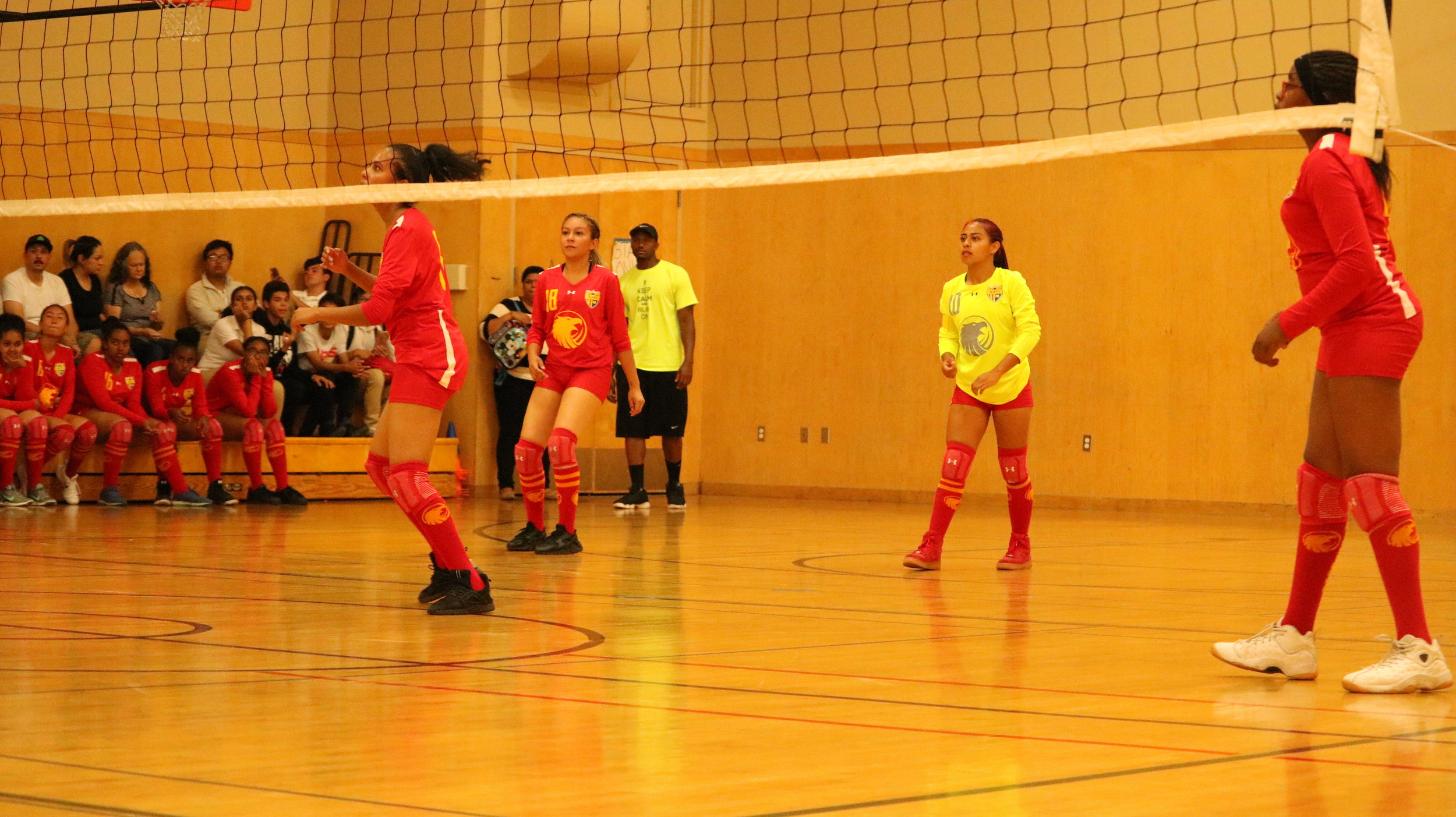  Captain Paola Baron (#10) wearing her neon green libero uniform. The Lady Eagles would win 3-2 in five sets.&nbsp; 