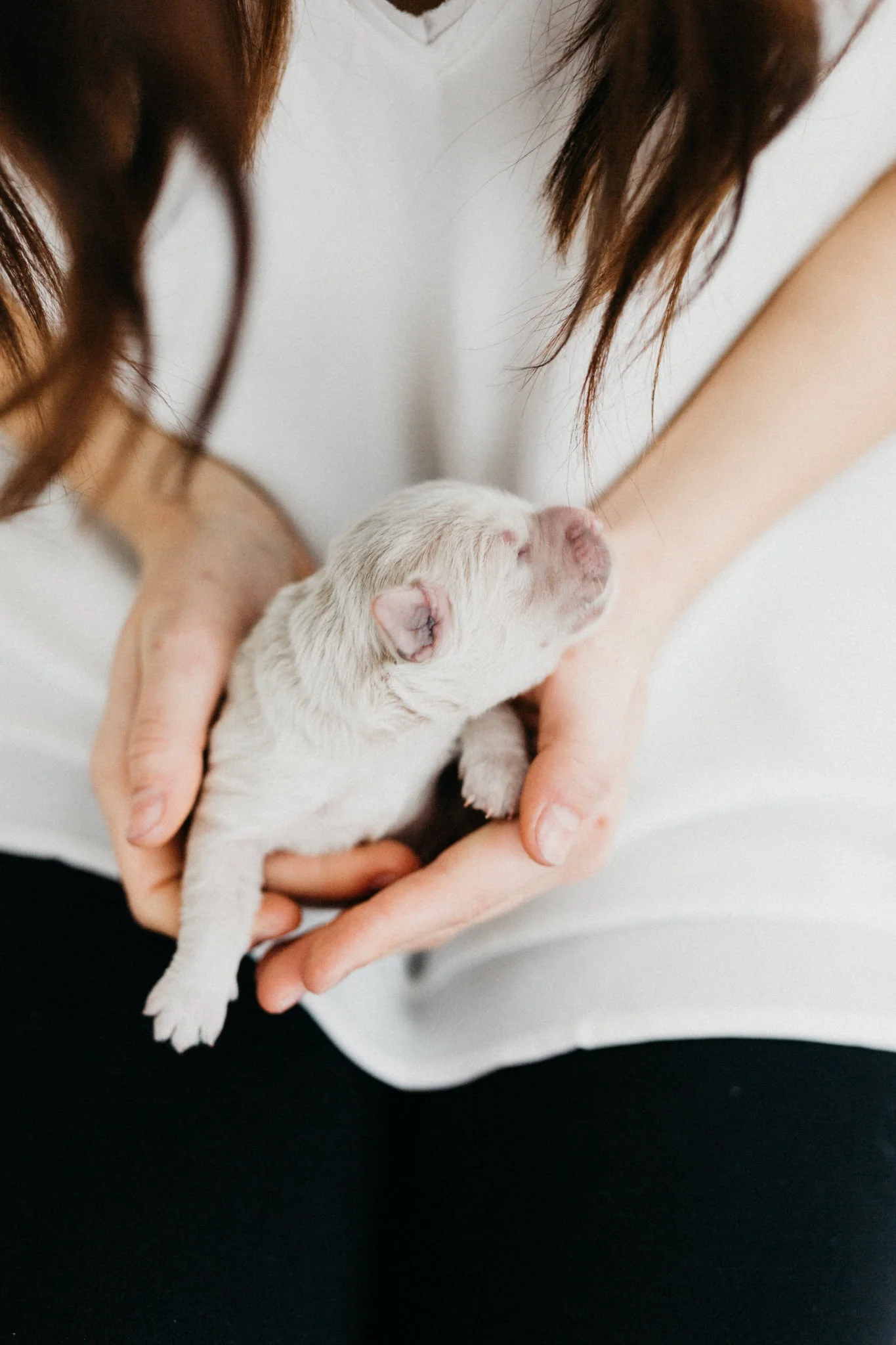 Puppies-Week-One-65.jpg