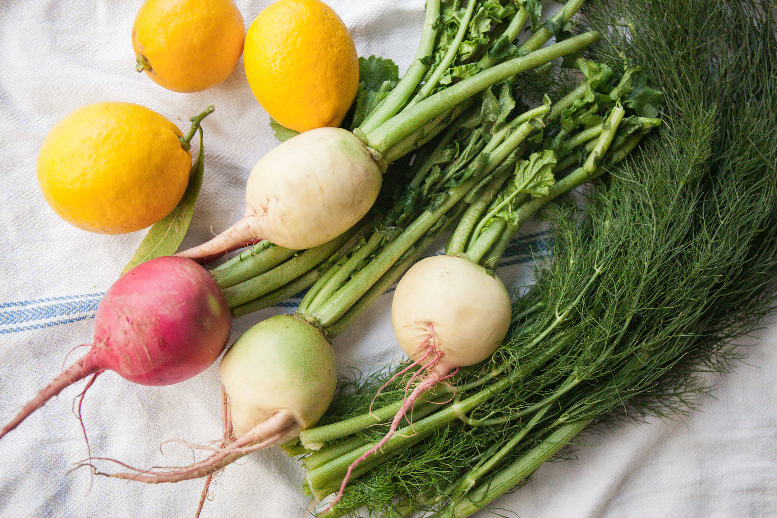 Vegetables | Akasa Community | Nature and Intent Feature