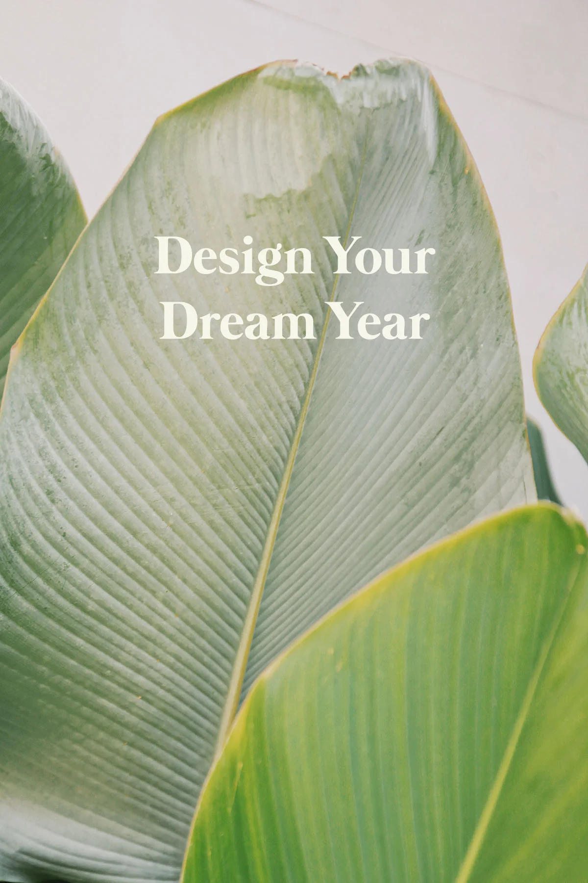 Design Your Dream Year