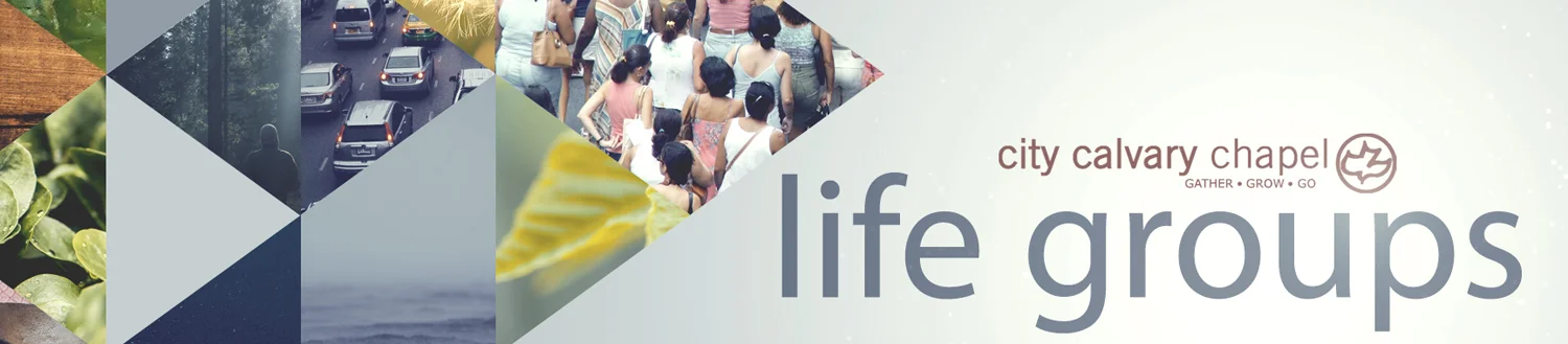 lifegroupsnewbanner.jpg
