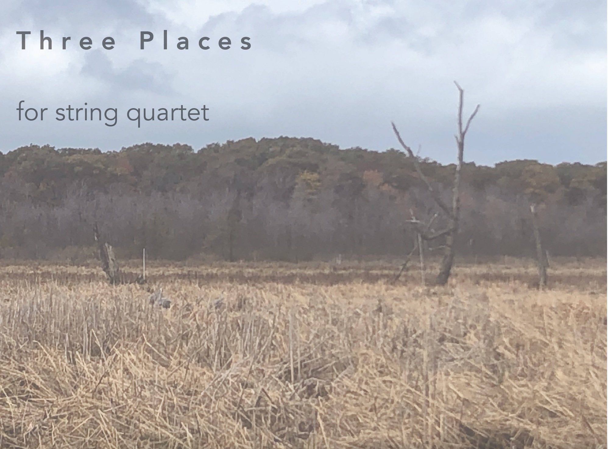 Three Places for String Quartet (2022)