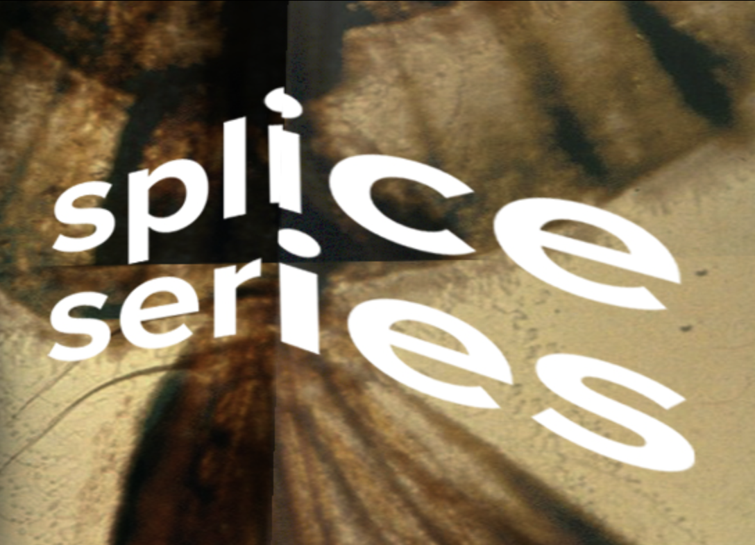 Splice Series Trio with Peter Maunu and Michael Zerang at Above Beat Kitchen
