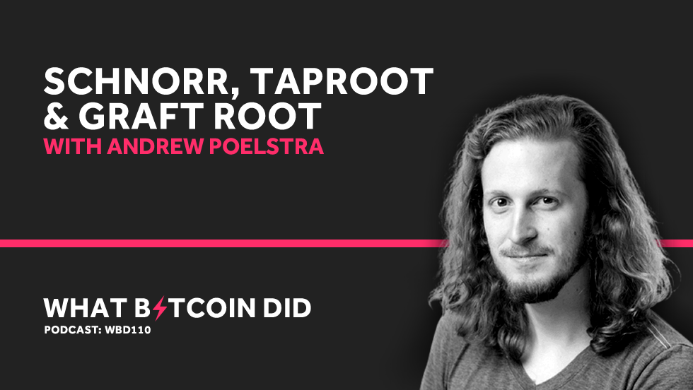 Andreas Antonopoulos: Bitcoin non sarà mai realmente privato