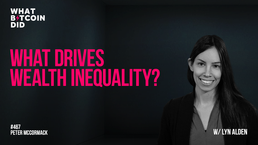 What Drives Wealth Inequality? with Lyn Alden