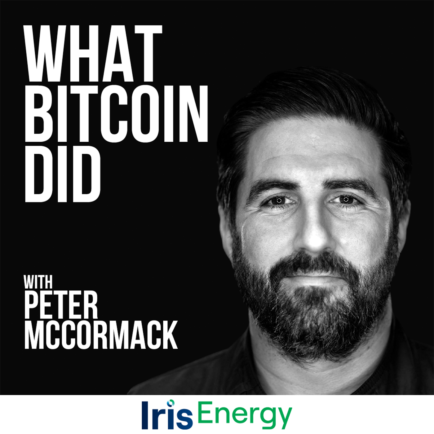 What Bitcoin Did with Peter McCormack artwork