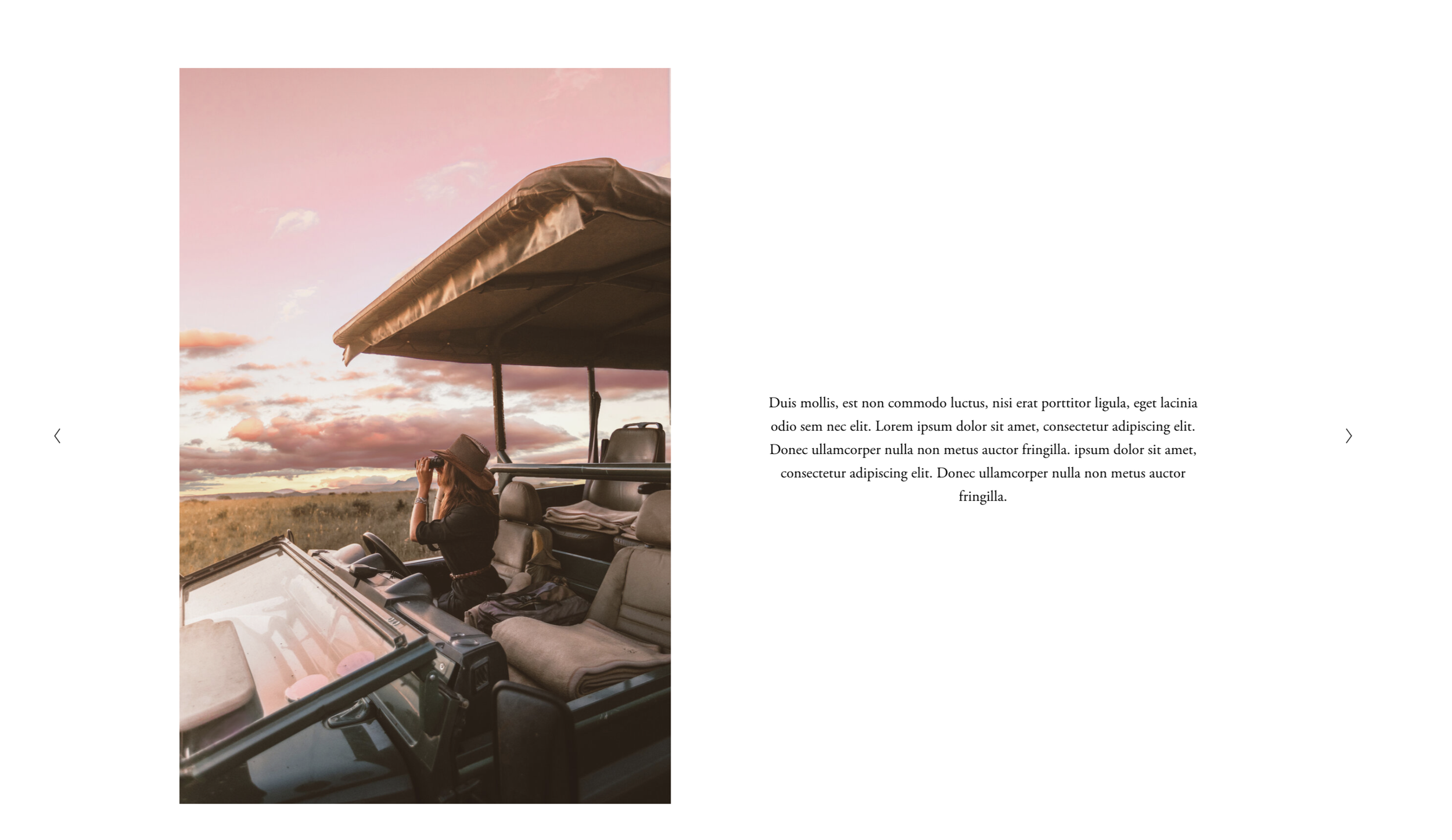 Gallery Slideshow Side-by-Side Text