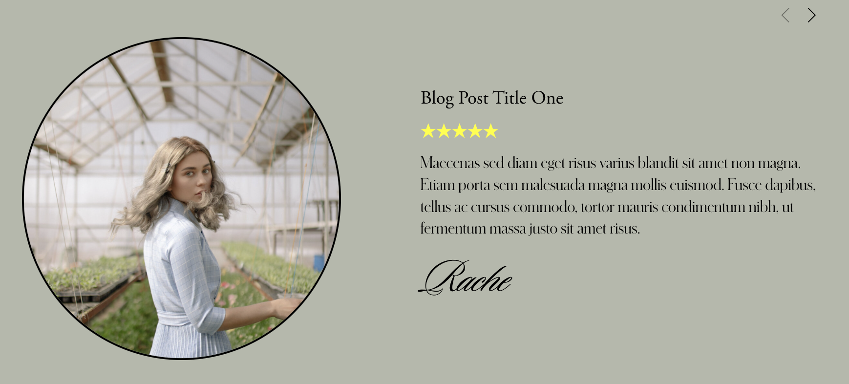 Centered Carousel Summary Block Excerpt