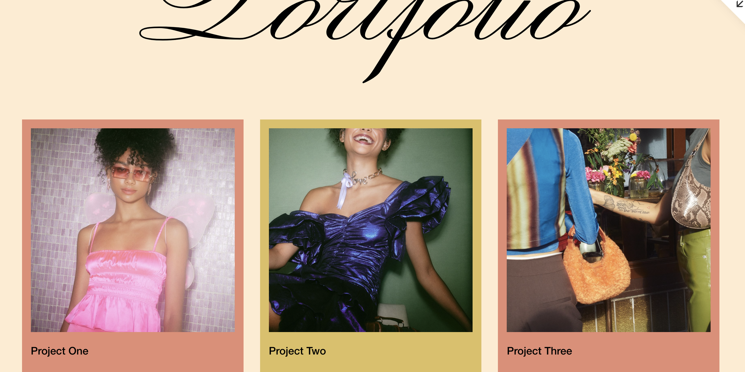 Style Portfolio Items by Link URL