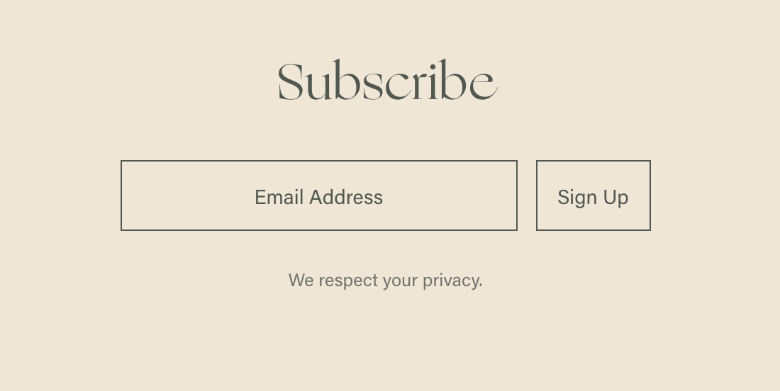 Minimal Newsletter Block Styling