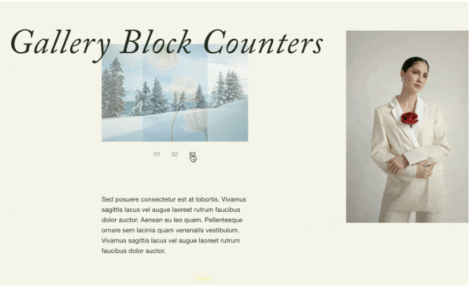 Gallery Slideshow Numbered Navigation