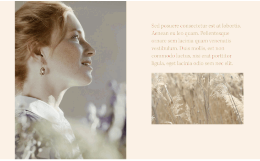 Autoplay Video on Page Load